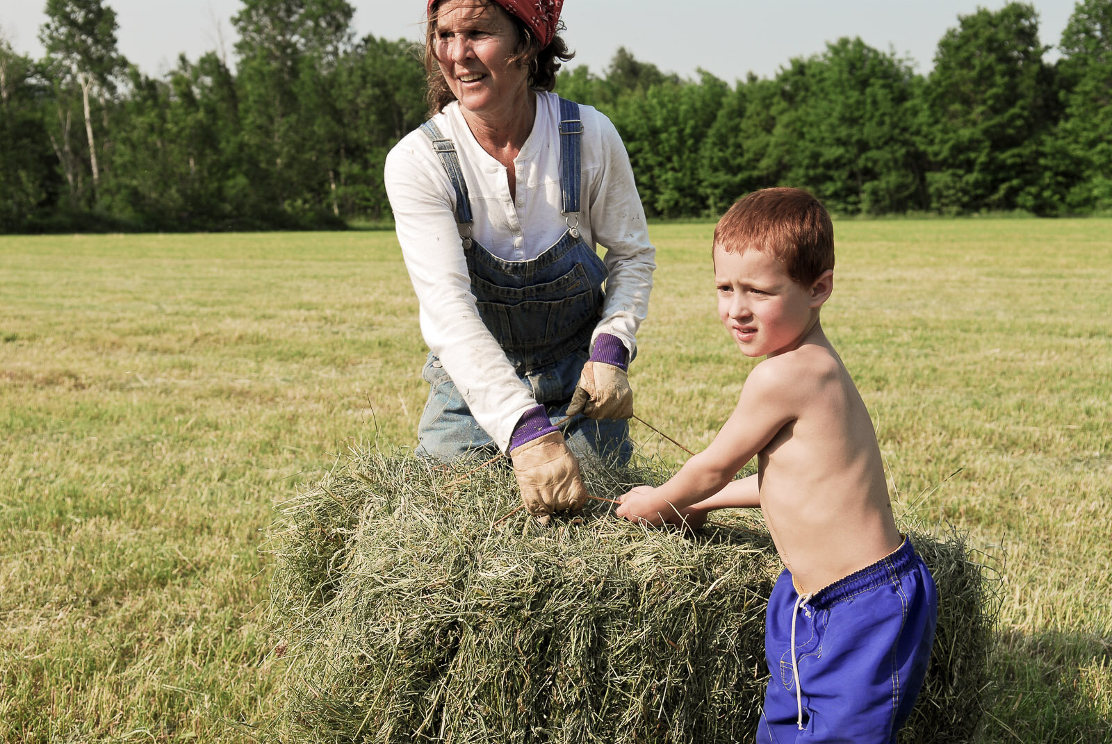 Vermont Haying