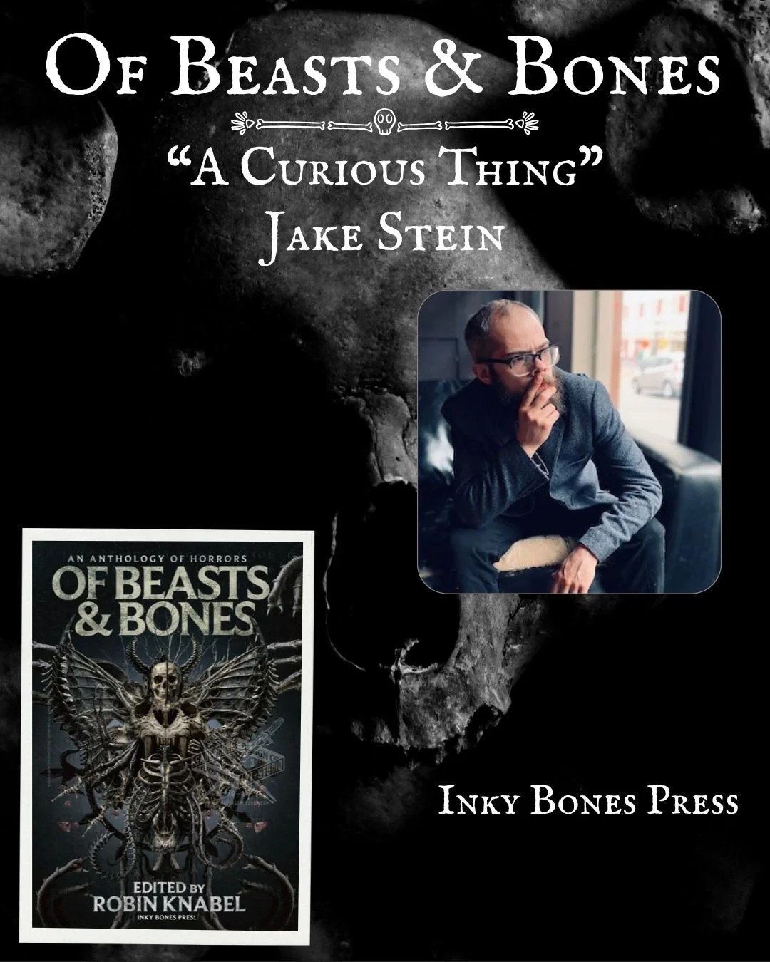 Jake Stein Promo.jpg