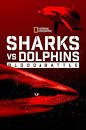 Sharks and Dophins Pic.jpg