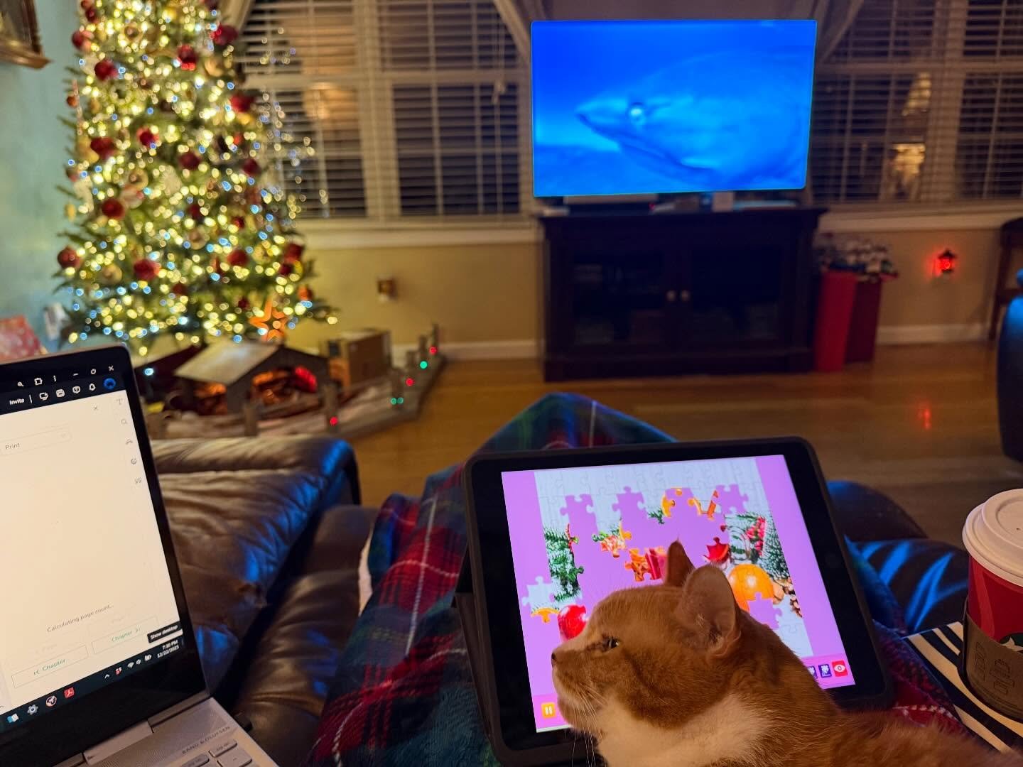 I somehow injured my back a bit, so I&rsquo;ve been working here on the couch. Loki and I are doing digital crossword puzzles and watching shark shows while I sip coffee and wait for Atticus to load portions of a book I&rsquo;m nearly finished format