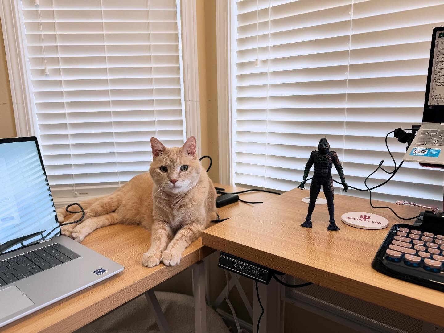 My laptop of 6+ years started having battery issues, so I finally took the plunge and replaced it. Today I&rsquo;m transferring all my precious writing &amp; publishing data! Thankfully Cheeto &amp; my newest Creature from the Black Lagoon figure are