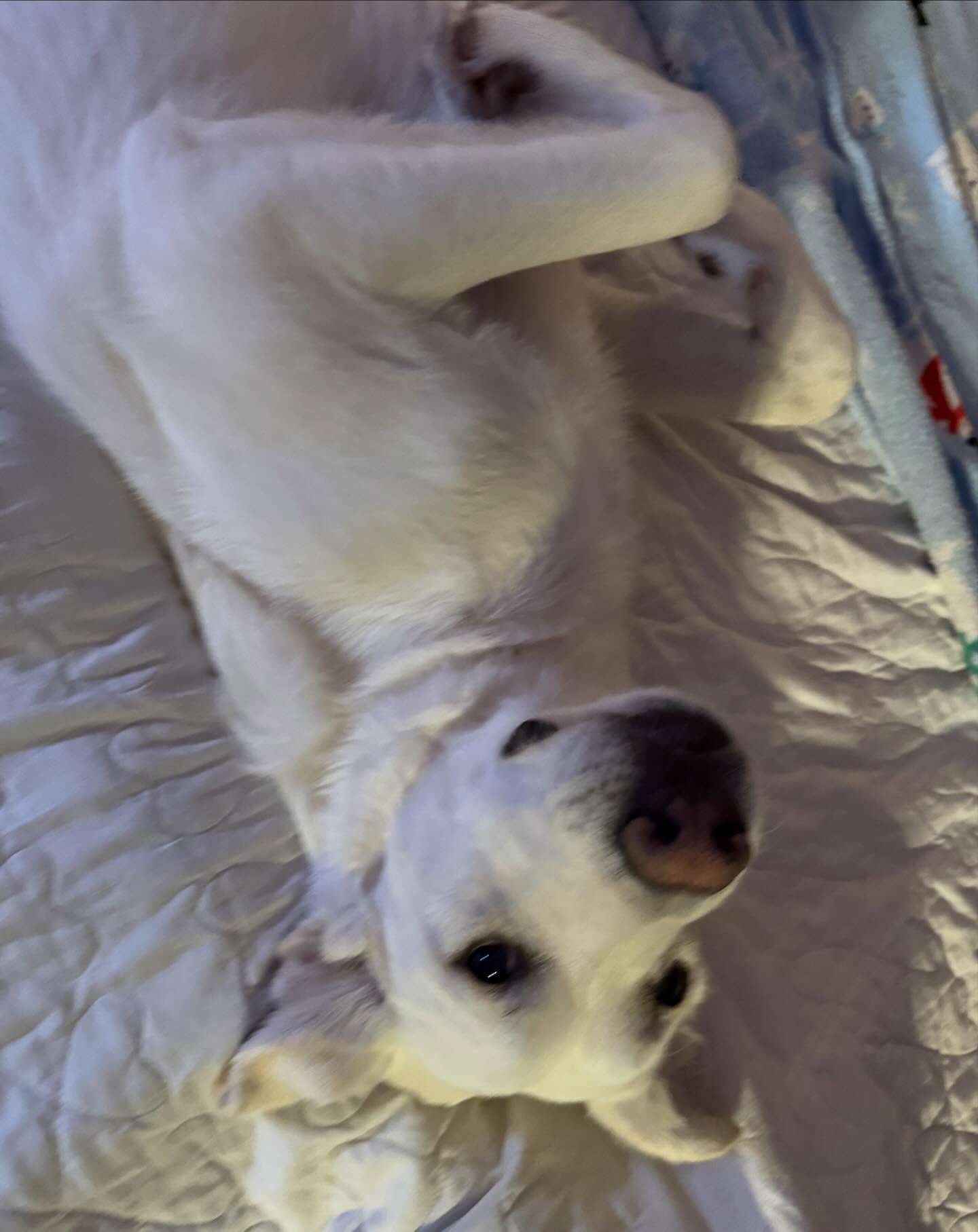 Mr. Barker hopes you have a wonderful Tuesday! 😊❤️