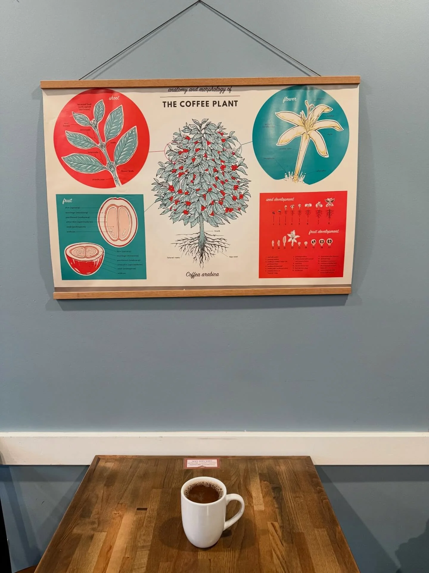 Fun song for a rainy day&mdash;but I met up with a friend for an hour this morning and a delicious cup of coffee and a cookie! ❤️😊☕️🍪 I&rsquo;m rejuvenated for some more bookish plans this afternoon. 📚 I hope you&rsquo;re all having a wonderful da