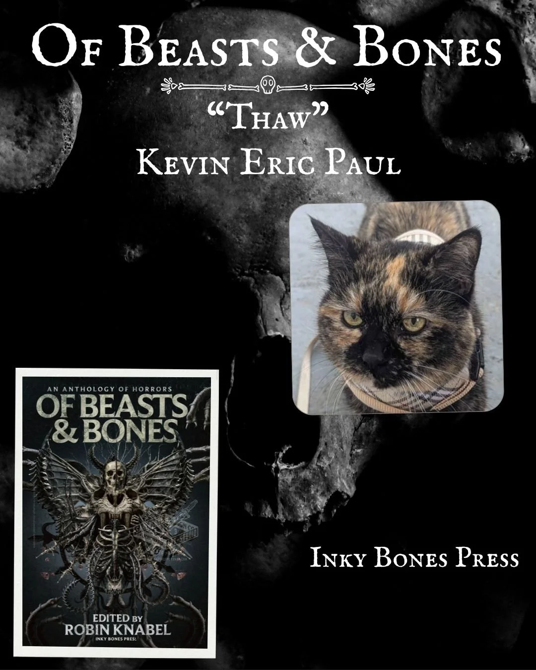 Creatures. Grotesqueries. Aliens. Cryptids. Ghosts. These are a few of the anomalies we&rsquo;ve unearthed.

Allow us to lure you in. Let us captivate &amp; tantalize you with the unknown. But beware, you might not be ready for what you find. Or what