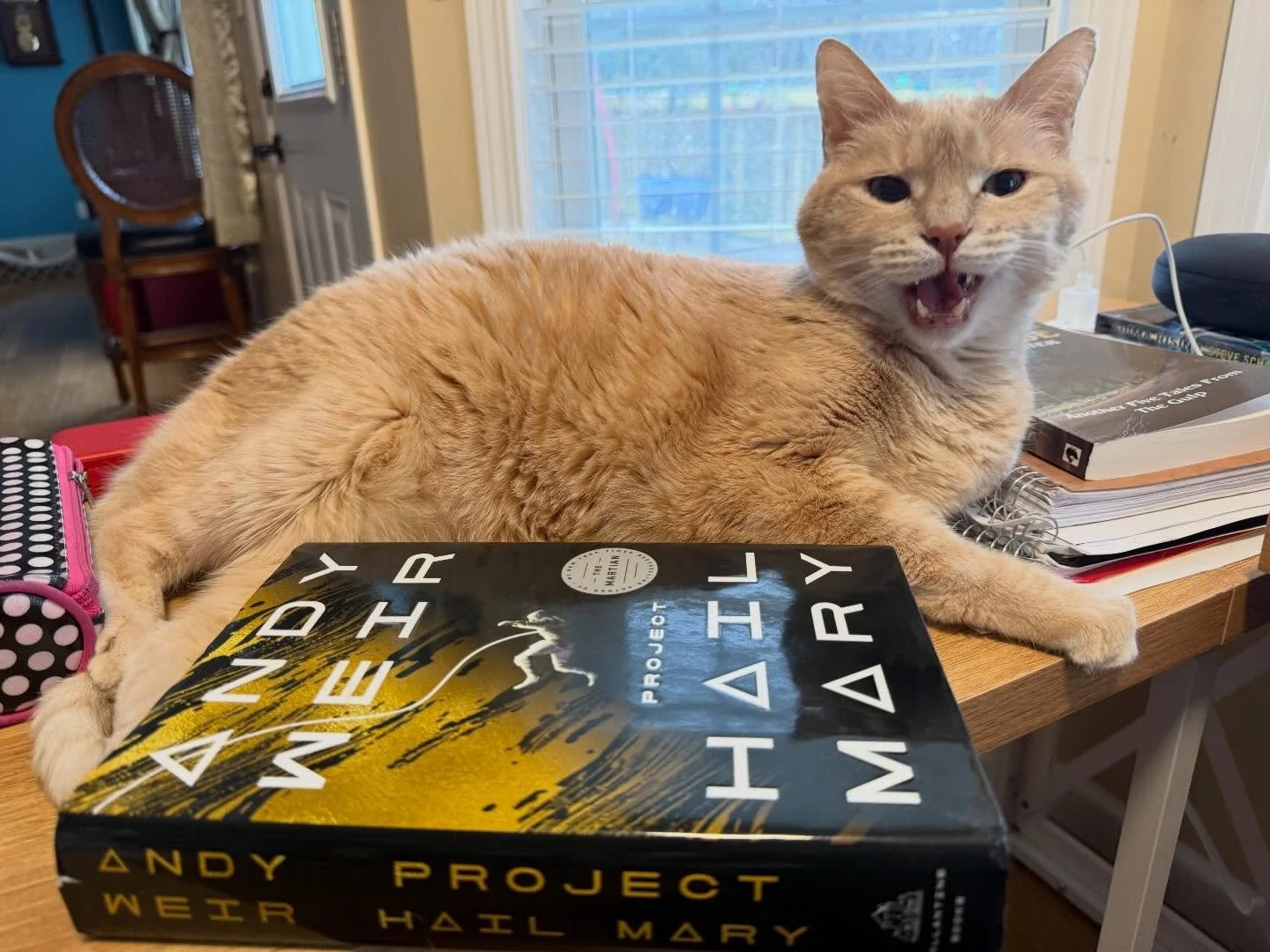 One of my fav books is now in theaters. I&rsquo;ve not seen it yet, but I thought I&rsquo;d share my review from 5 years ago. Has it been that long?!?!? Cheeto can&rsquo;t believe it, either! 

#projecthailmary 

***link in bio to website/blogs and i
