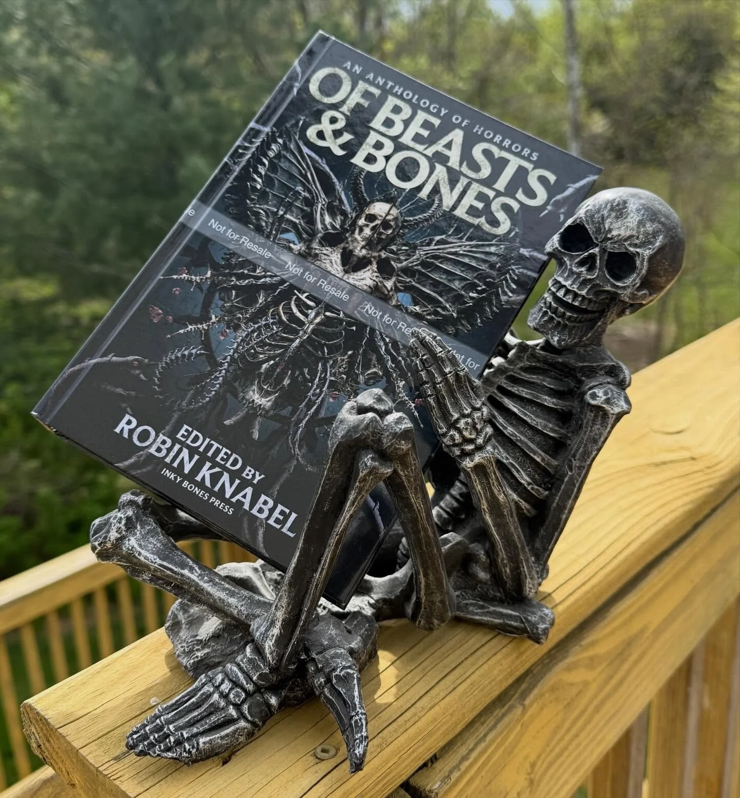 The Of Beasts &amp; Bones hardcover proof came today, and it looks amazing! It&rsquo;s time to relax a little bit as I now know the covers and the interiors are exactly how I planned them to be. 

This 315 page monster is now available for ebook pre-