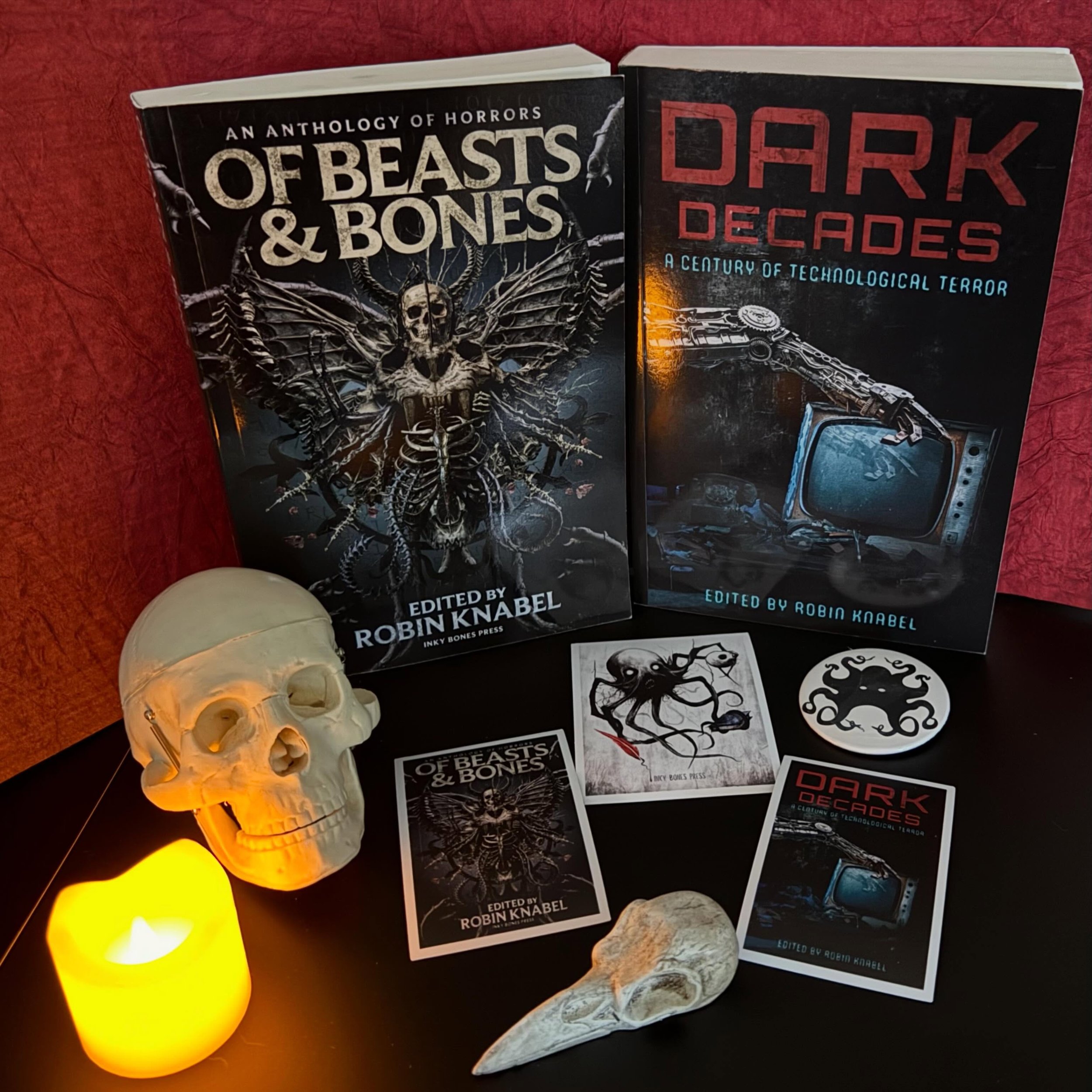 I got magnets in the mail today! 🎉🧲 (Cheeto volunteered to show them off, too!) 

***Find merch on my website (link in bio)

***Octopus art by @dave_dick_ 😱🖤