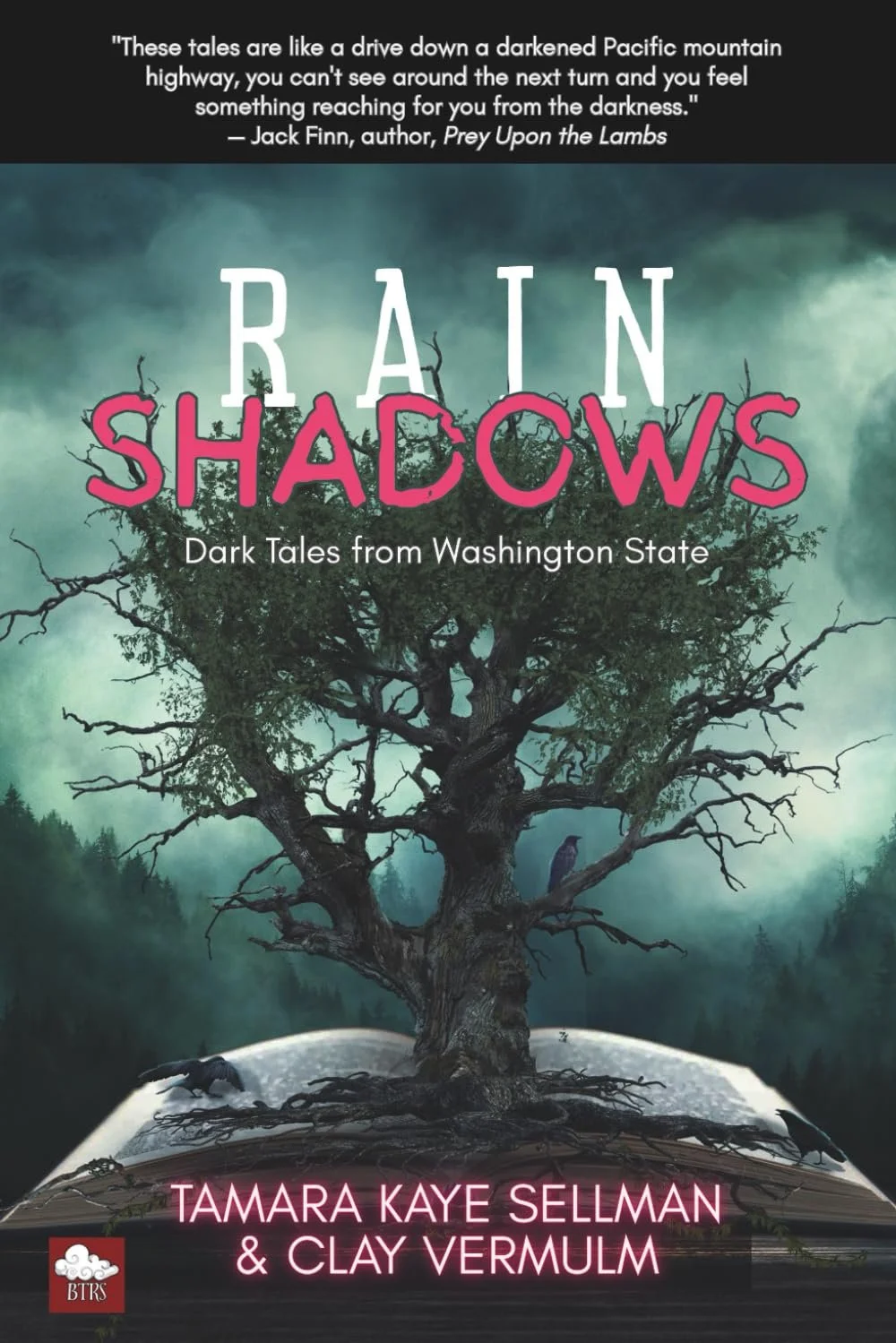 Rain Shadows Pic.jpg