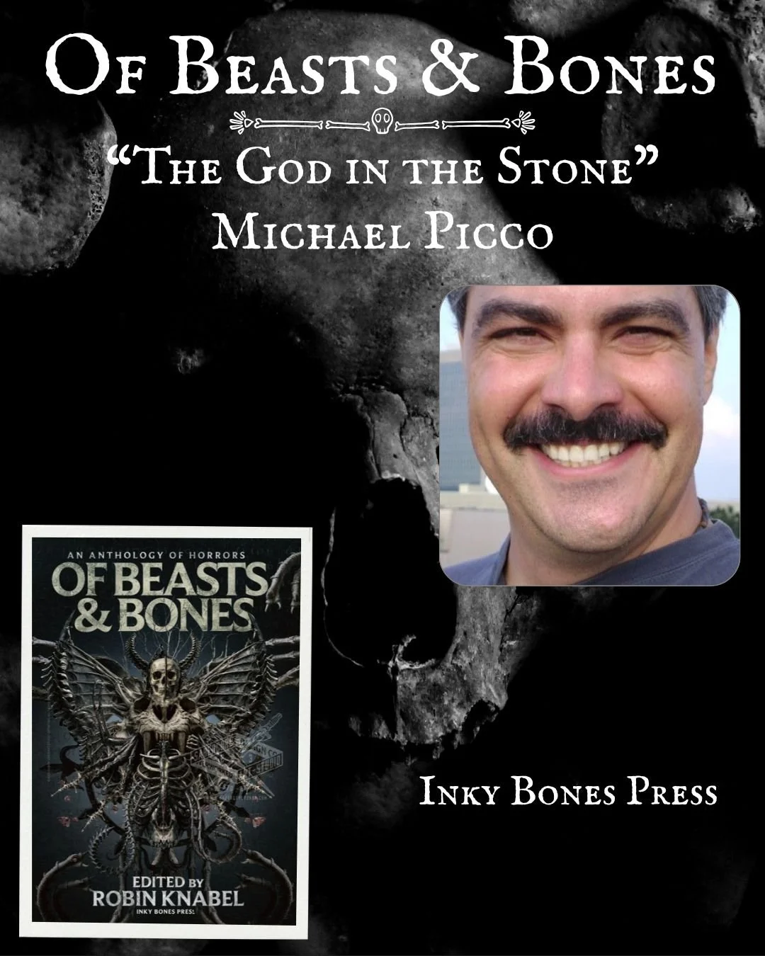 Michael Picco Promo.jpg