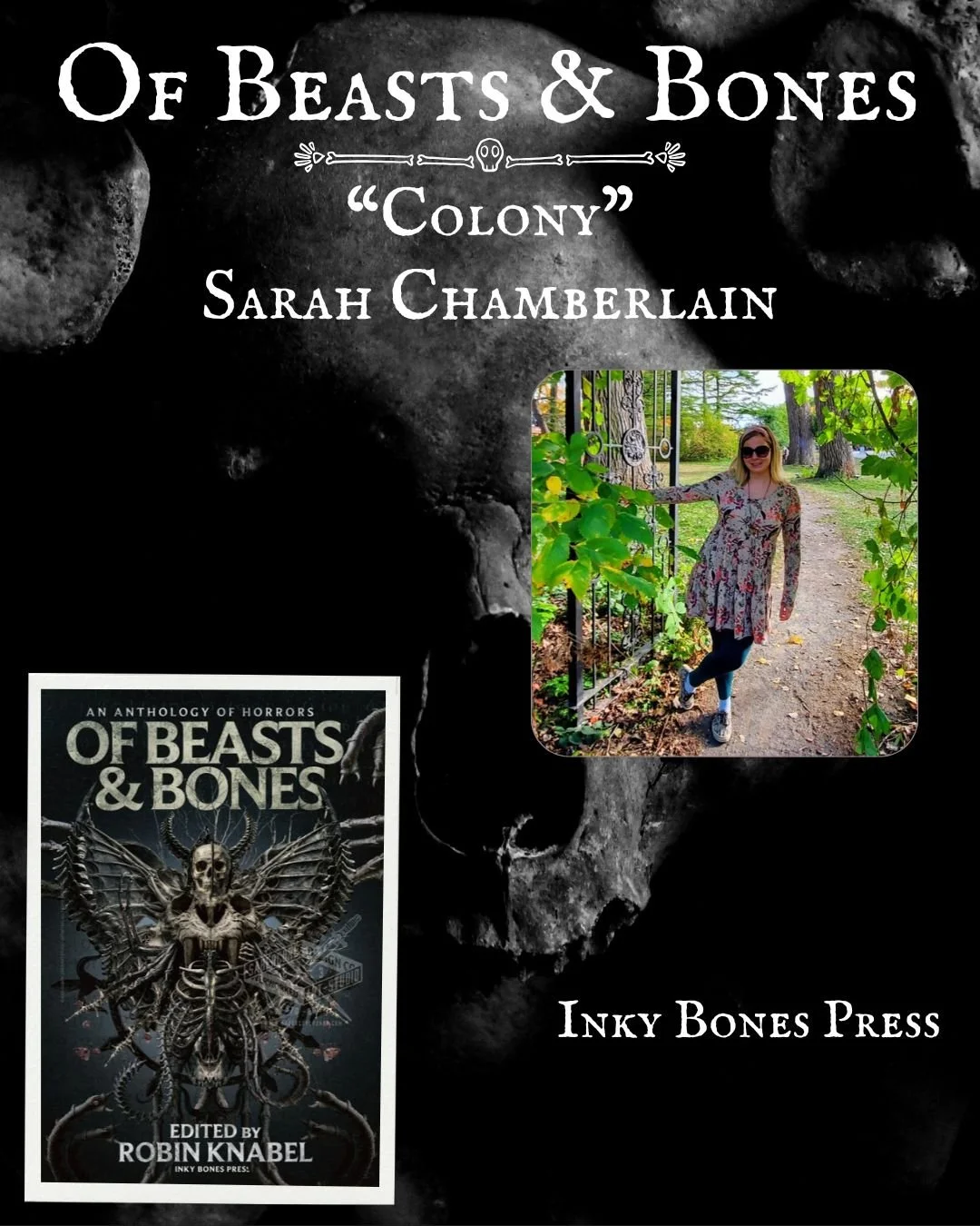 Sarah Chamberlain Promo.jpg