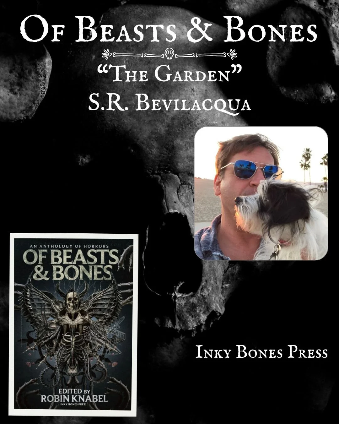 S.R. Bevilacqua Promo.jpg