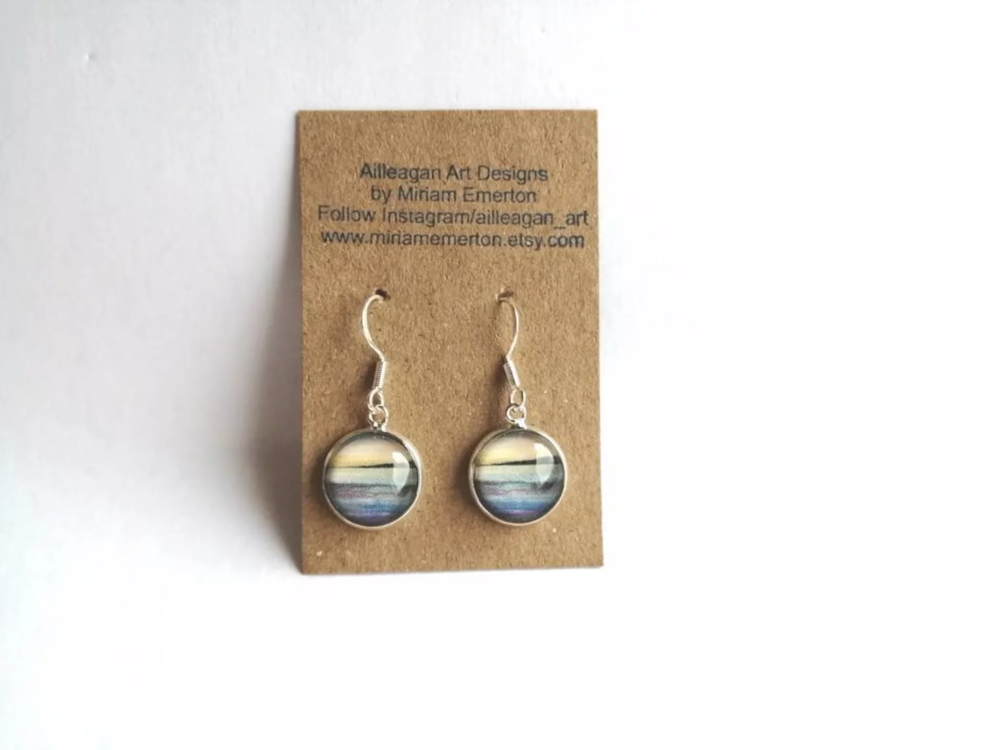 Small Drop Hook Earrings.jpg