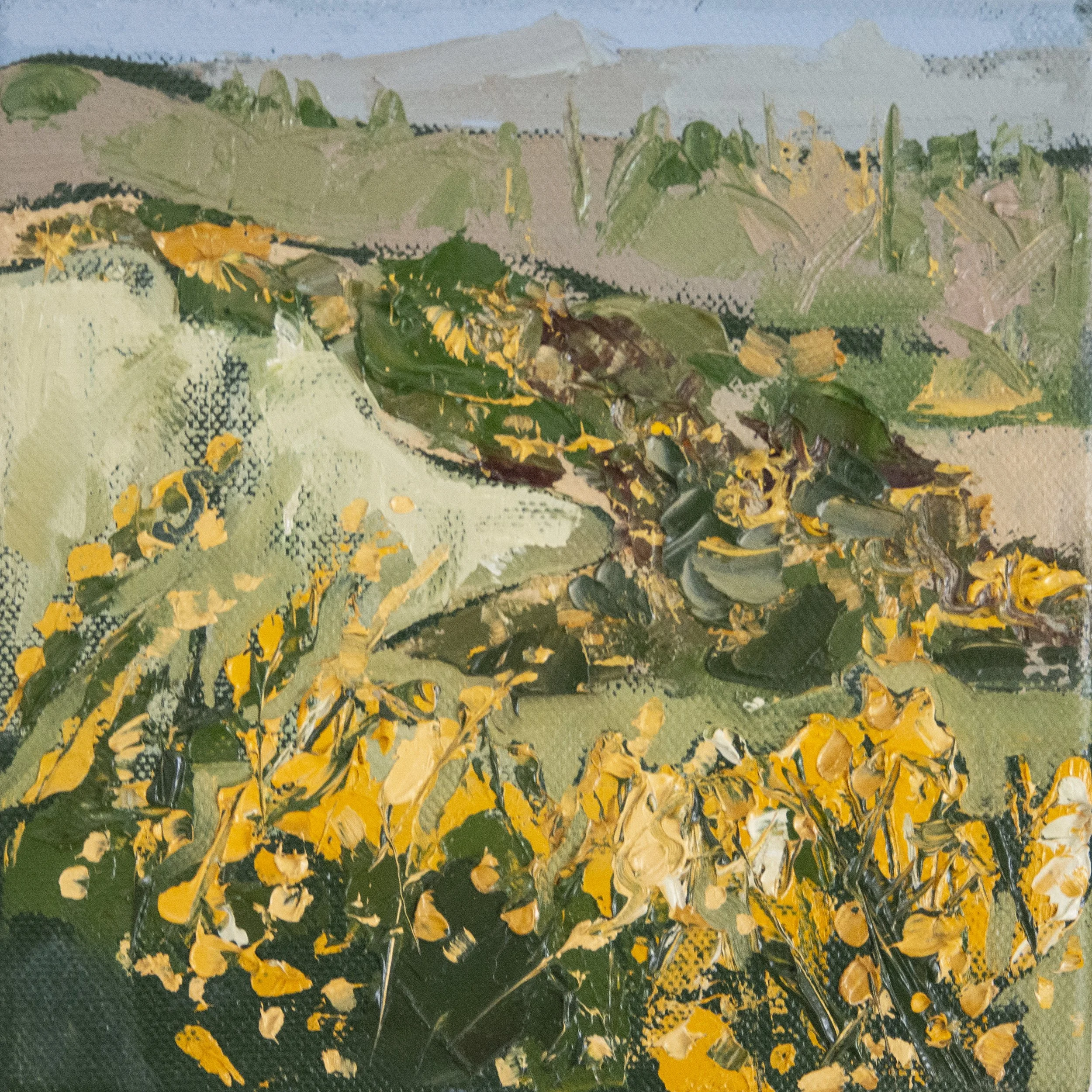Gorse Field