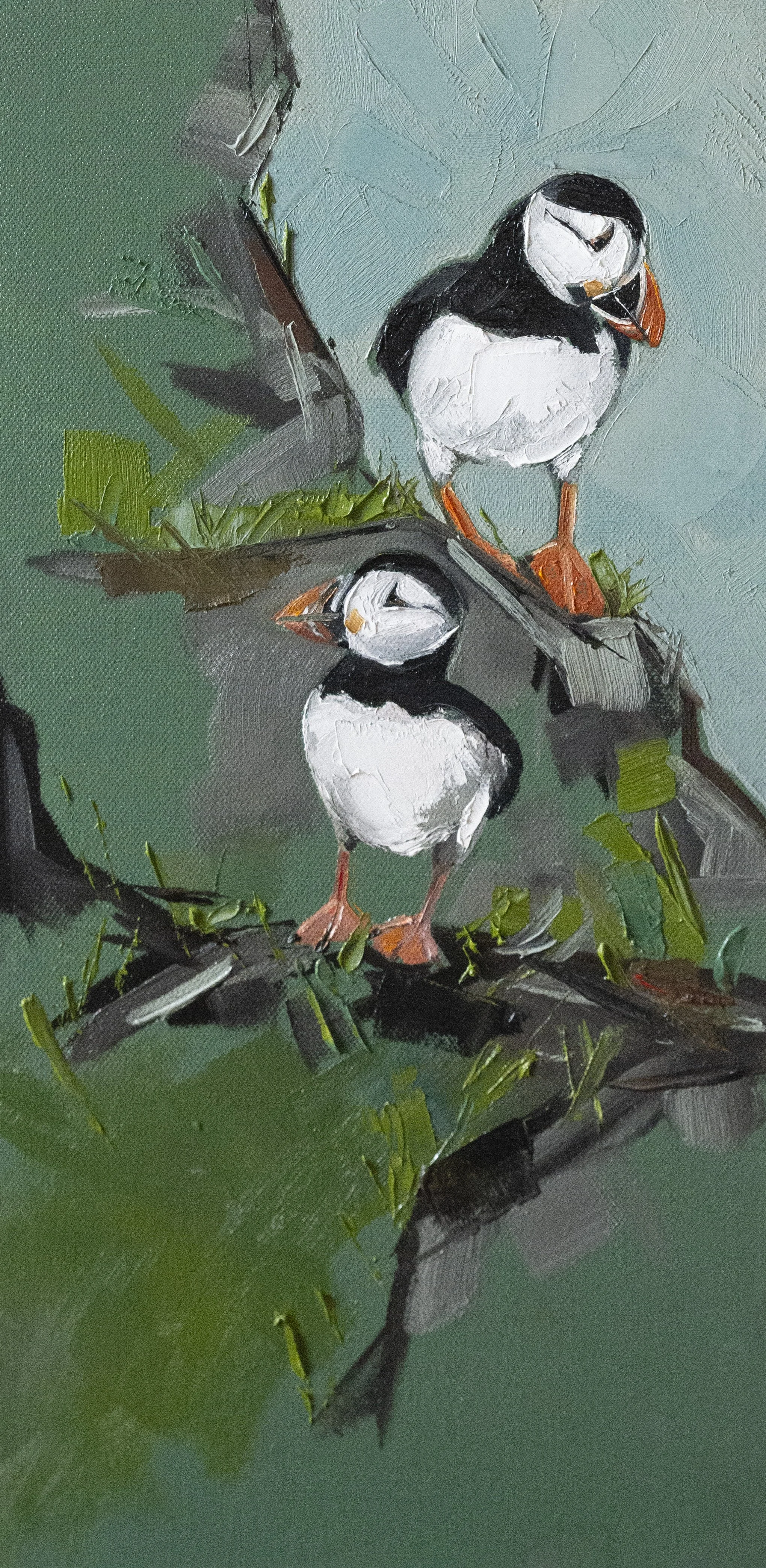 Puffins