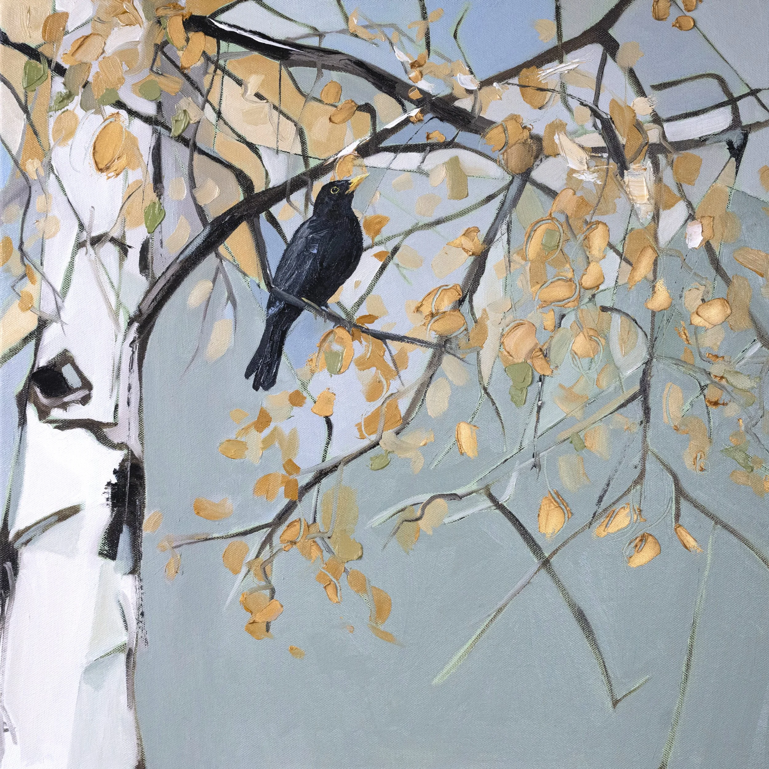 Lost in Changing Colours