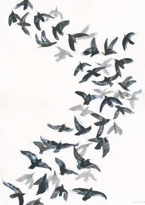 Murmuration 2_FLOCK2.jpg