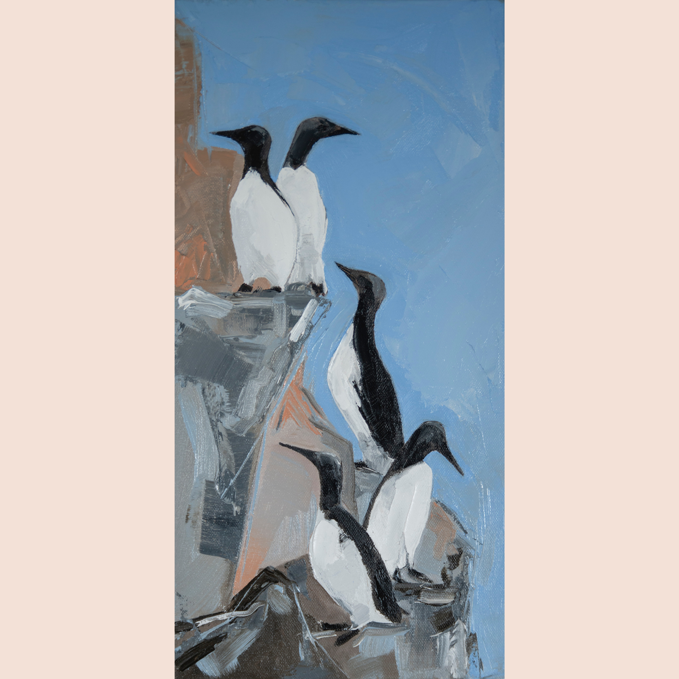 Guillemots
