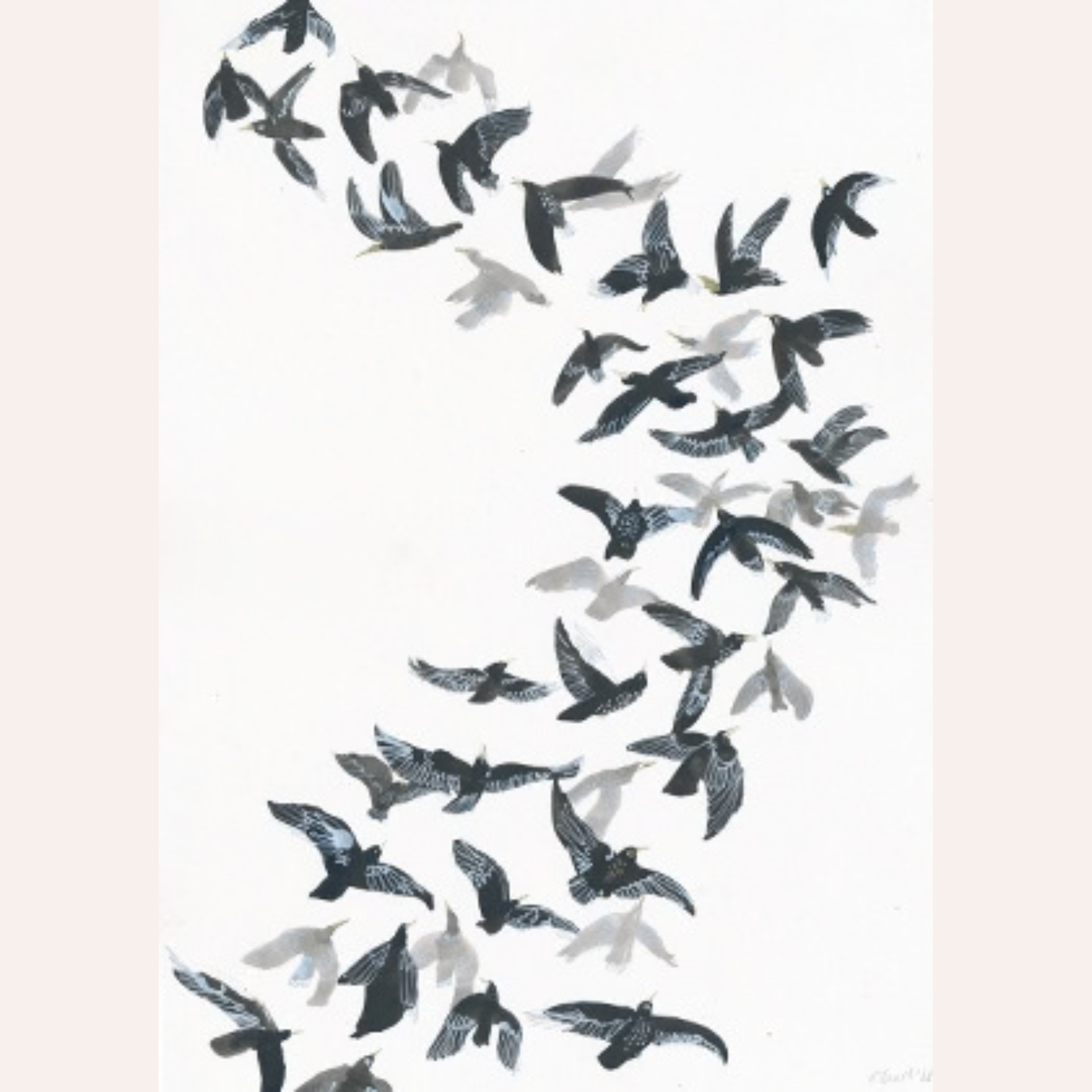 Murmuration II
