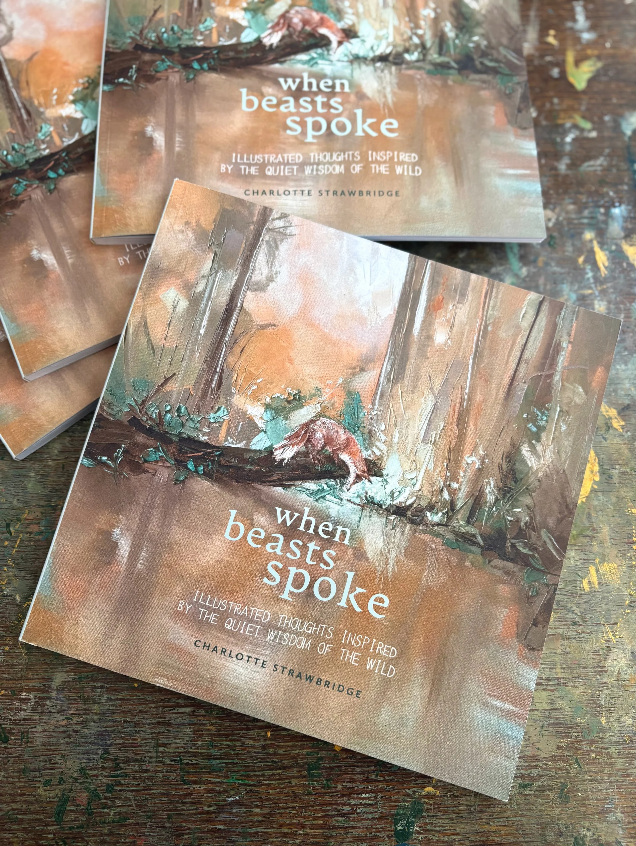 Photo 18-03-2026, 11 26 27 (8).jpg