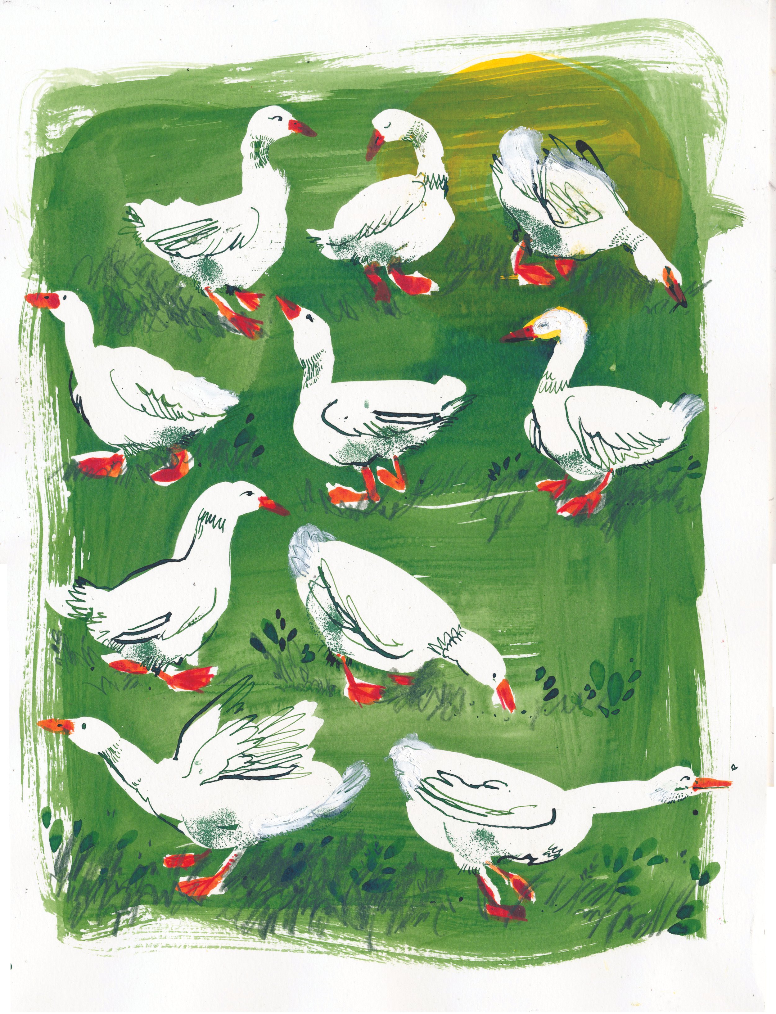 Flock 2_FLOCK22.jpg