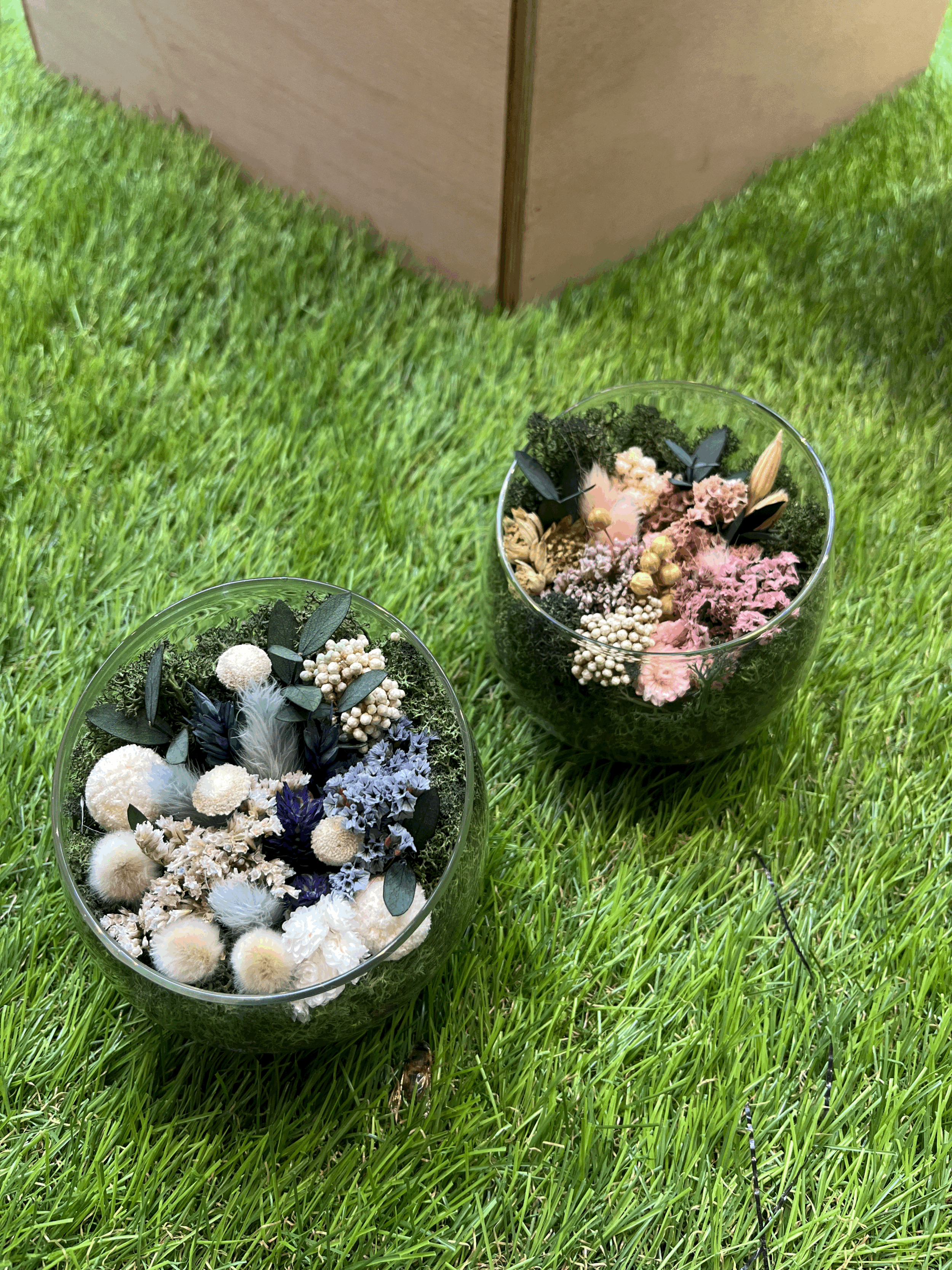 Moss and Mint Terrarium