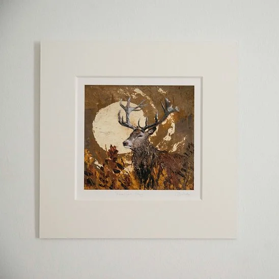 Mounted Stag.jpg