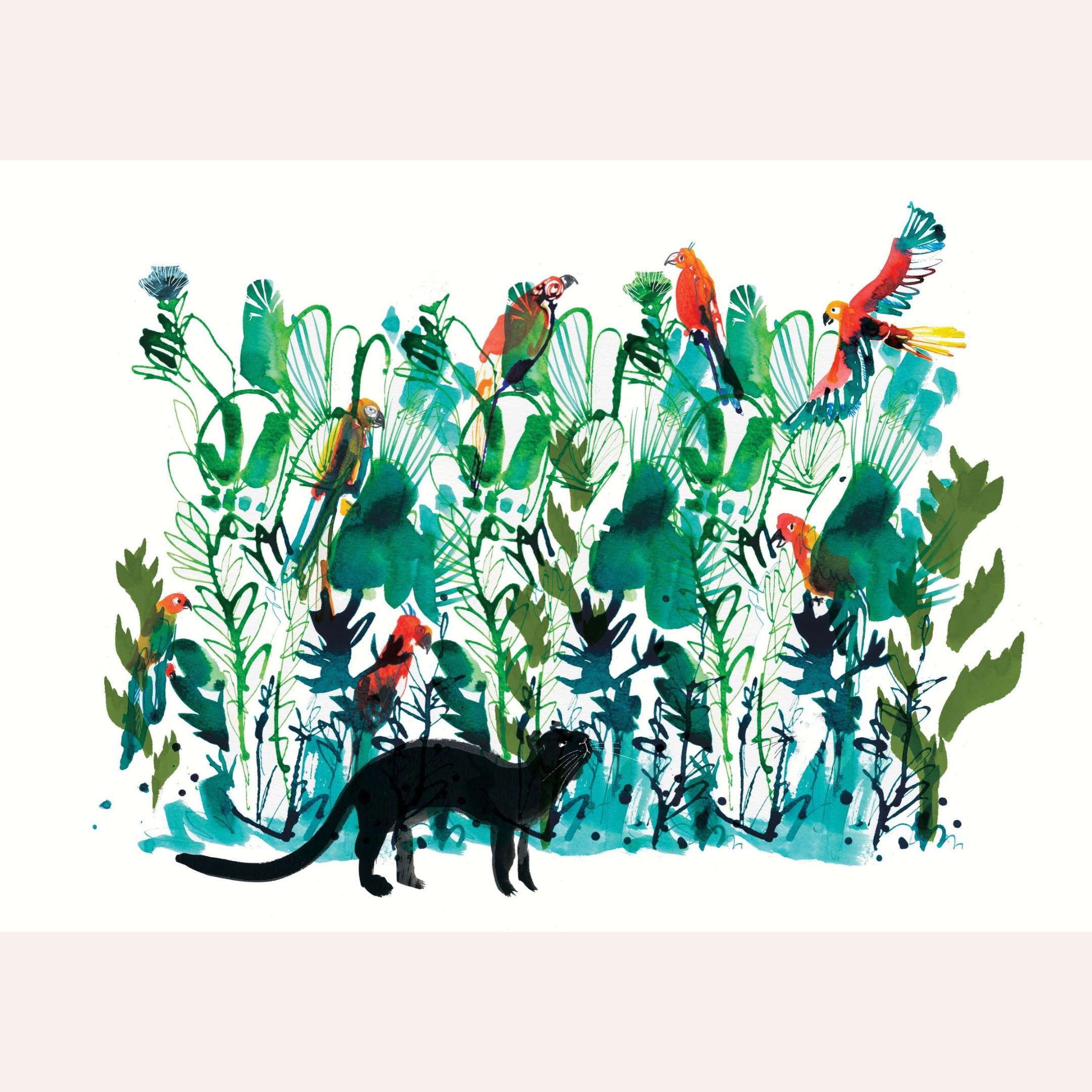 Parrot Jungle