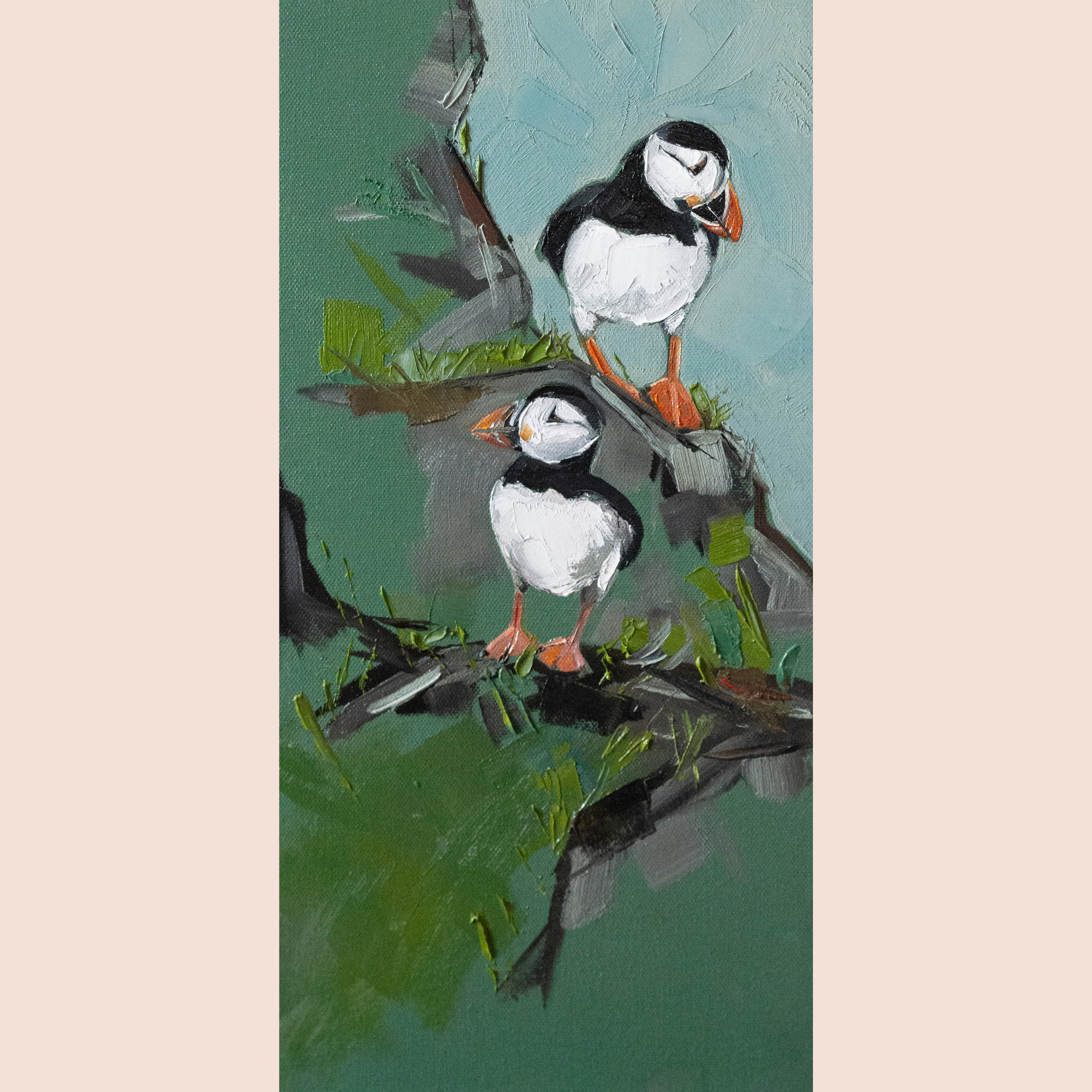 Puffins