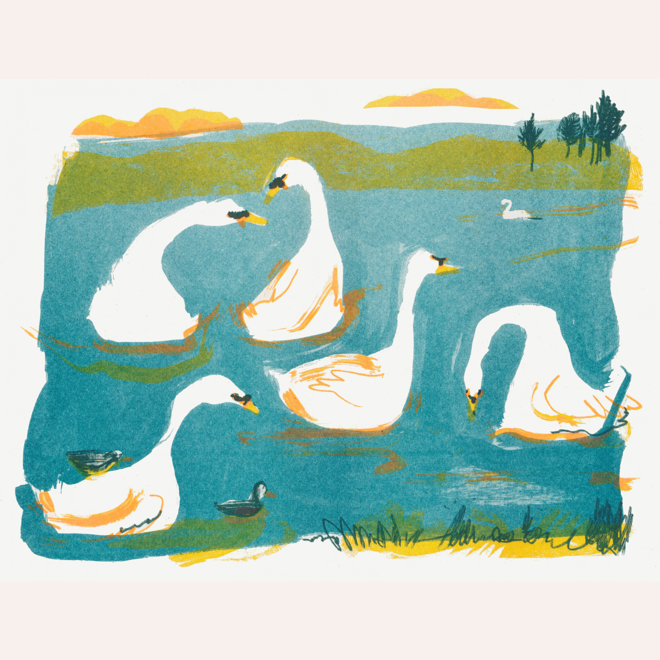 Swans A-Swimming print