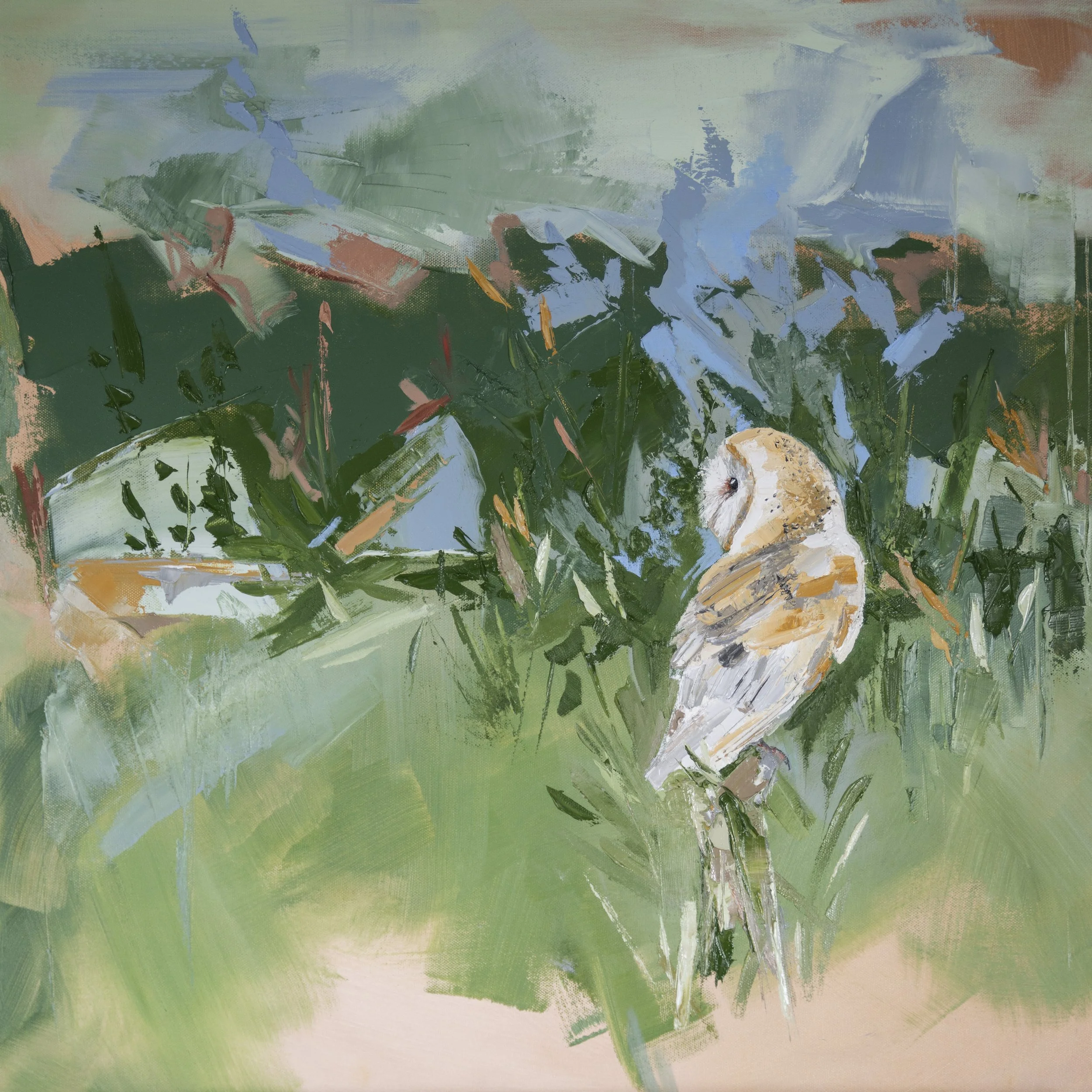 As the World Softened