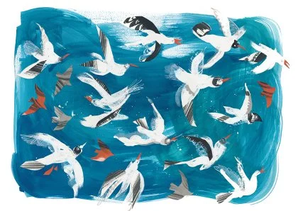 Flock 1_FLOCK8.jpg