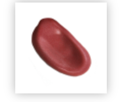 Screenshot 2026-02-21 at 11.17.17 AM.png