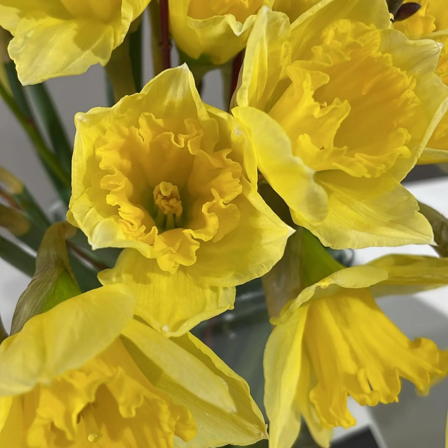 Spring is a wonderful time to refresh your skin-care, wardrobe and make-up. Stop in or book an appointment with us to talk all things renewal.