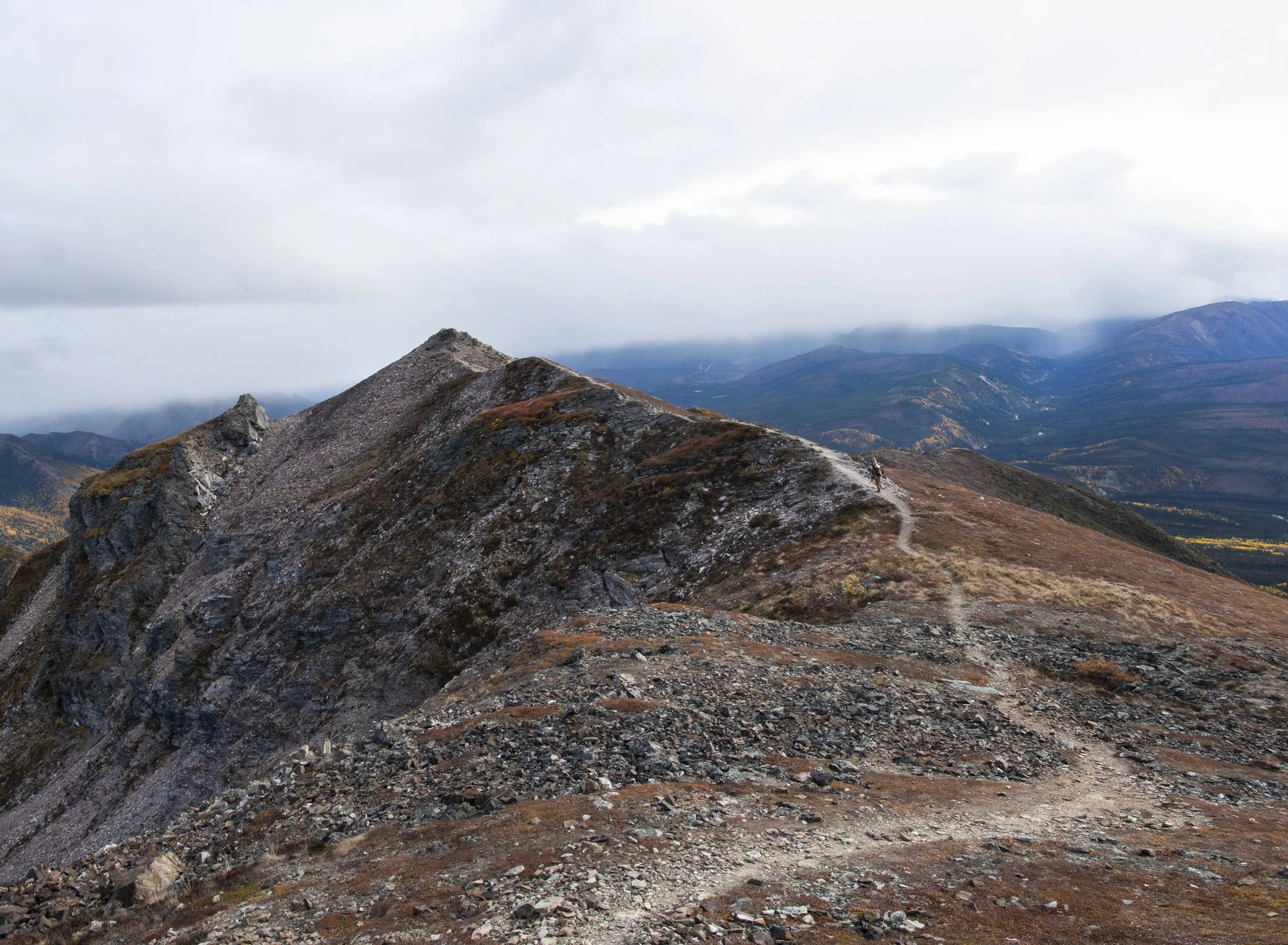 Laura Zima Photography