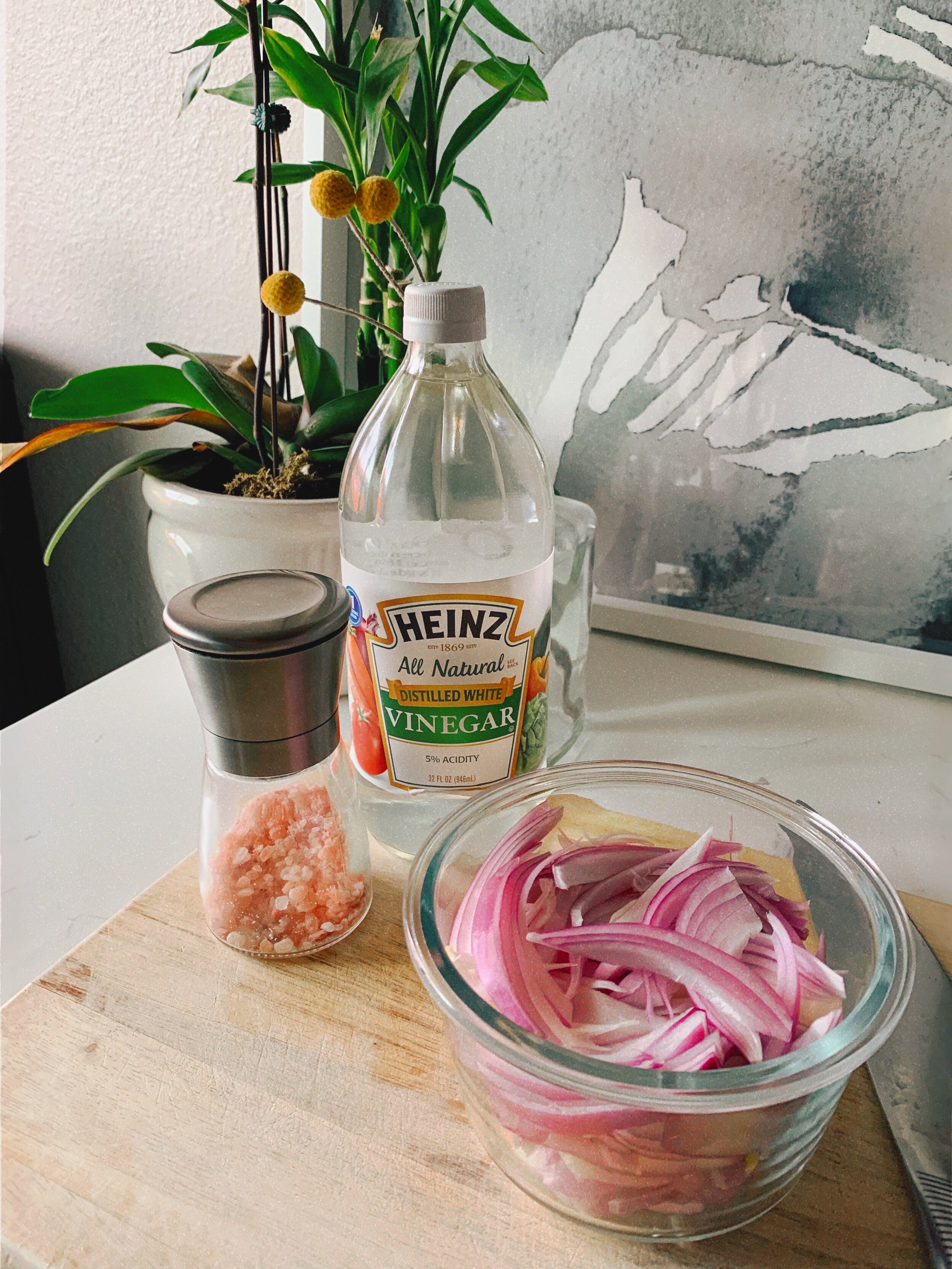Layout of ingredients for these pickled red onions