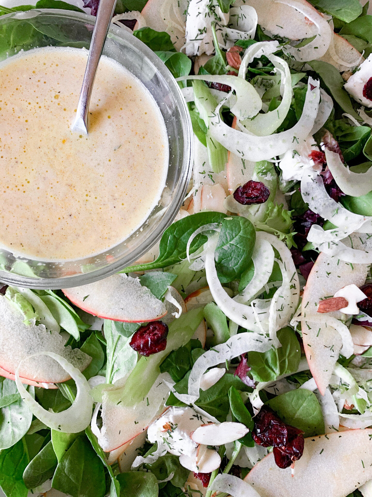 Plated fennel and apple salad with honey lemon vinaigrette