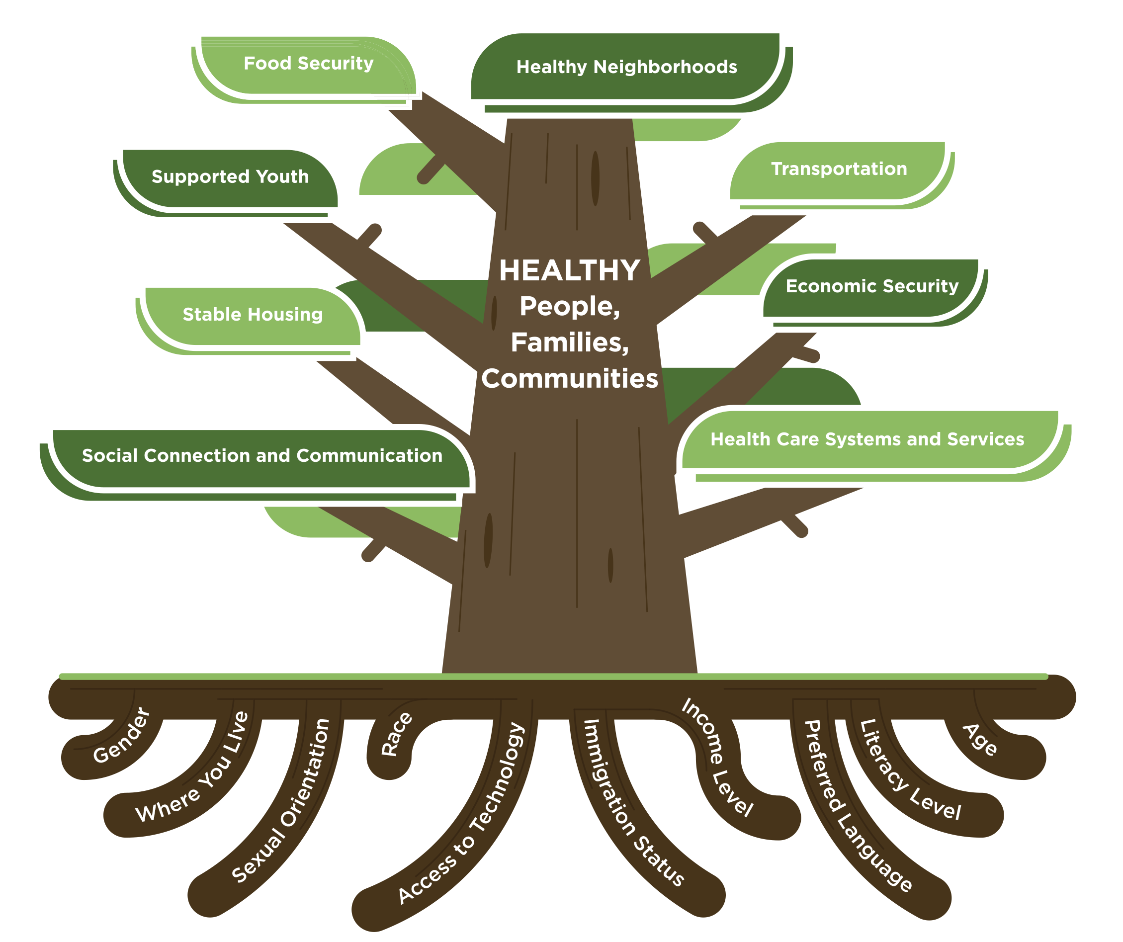 Social Determinants of Health & Equity (SDOH-E) grant funding