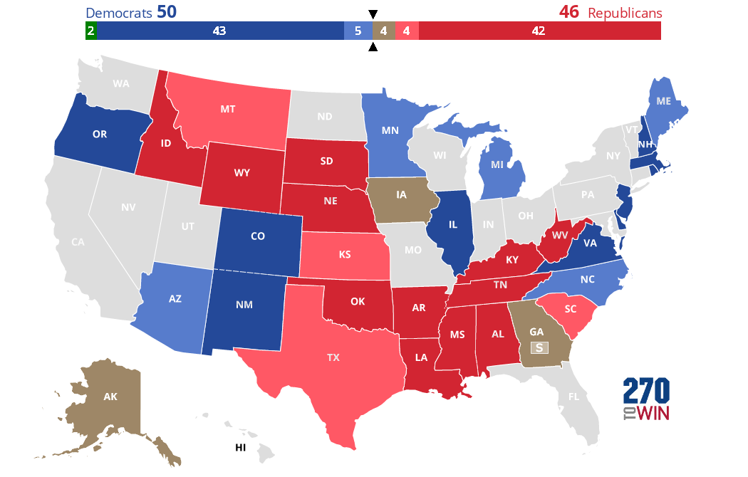 Negative Partisanship and the 2020 Congressional Elections 