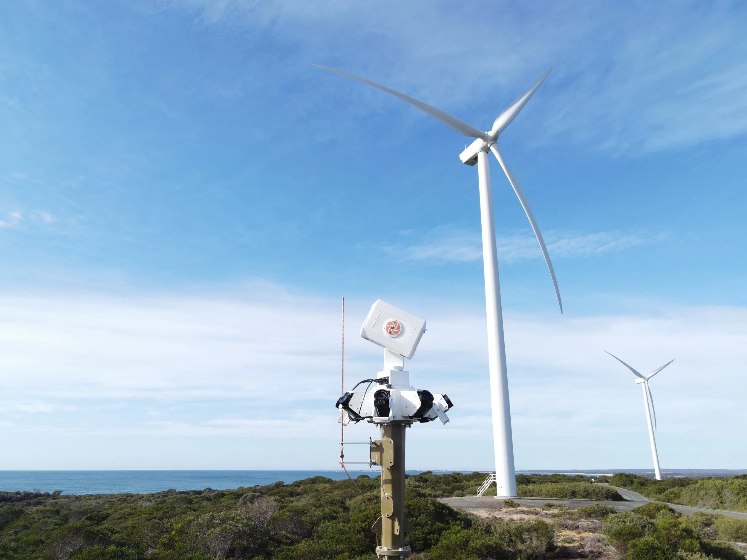 How AI is Helping to Bring Nature into the Boardroom — IdentiFlight ...