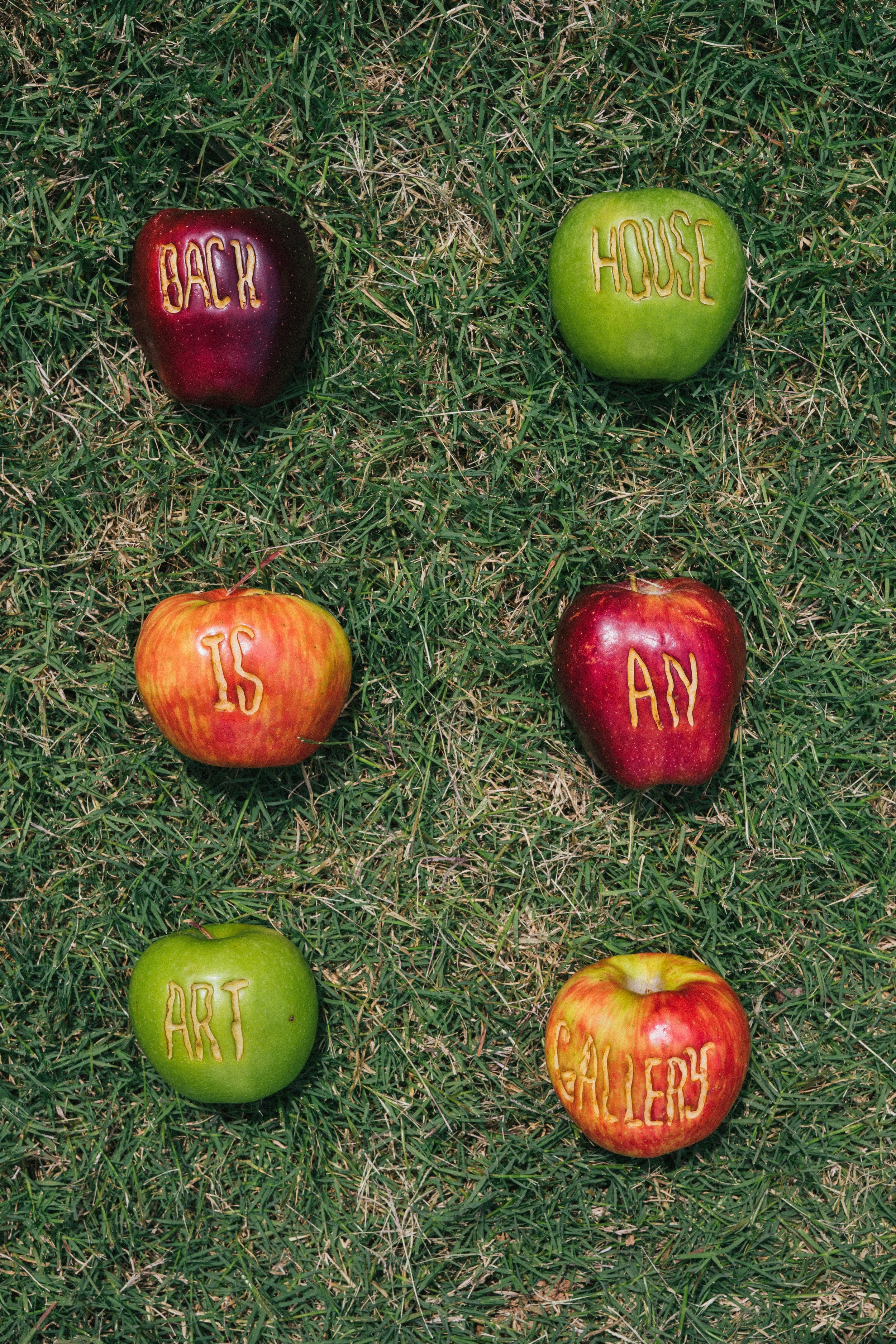 Back House Is An Art Gallery Fruit Henry Williford-19.jpg