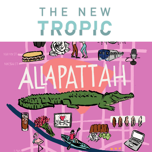 Getting to Know Allapattah — Build McKenzie