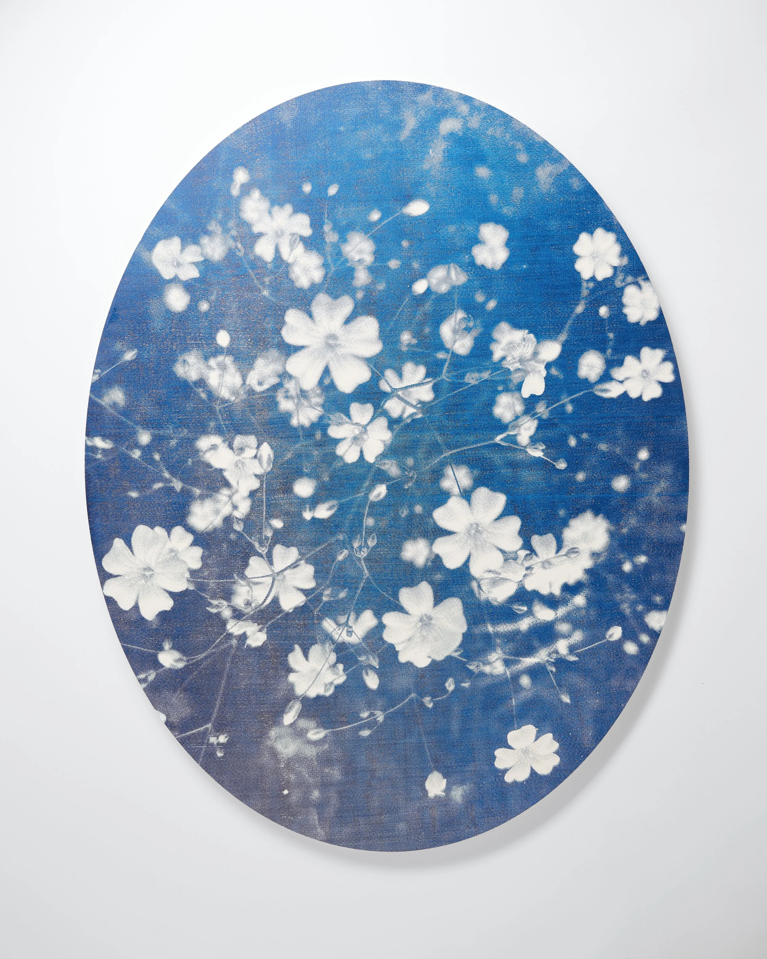 Eve Biddle,  Wassaic, June 2022, Dark Cyan, Large,  2025, Screenprint on oval panel, 33 x 28 in.