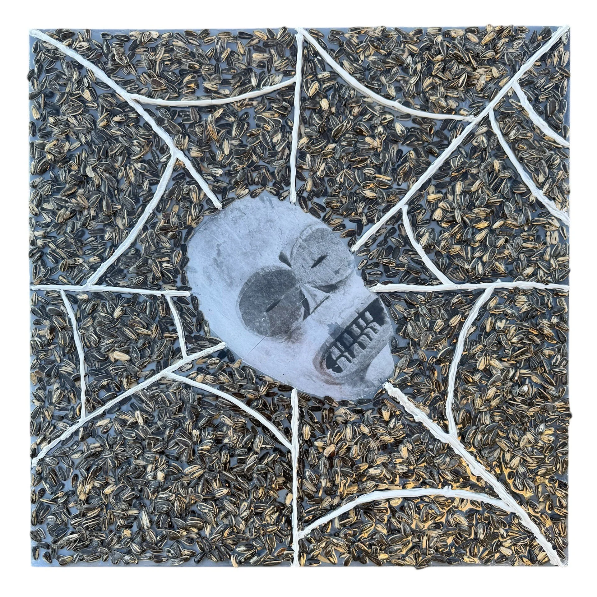 Emmanuel Massillon,  Webbed Fractals,  2026, Sunflower Seeds, Salt, Acrylic Paint, Jet Ink Print, Resin on Canvas, 20 x 20 in.