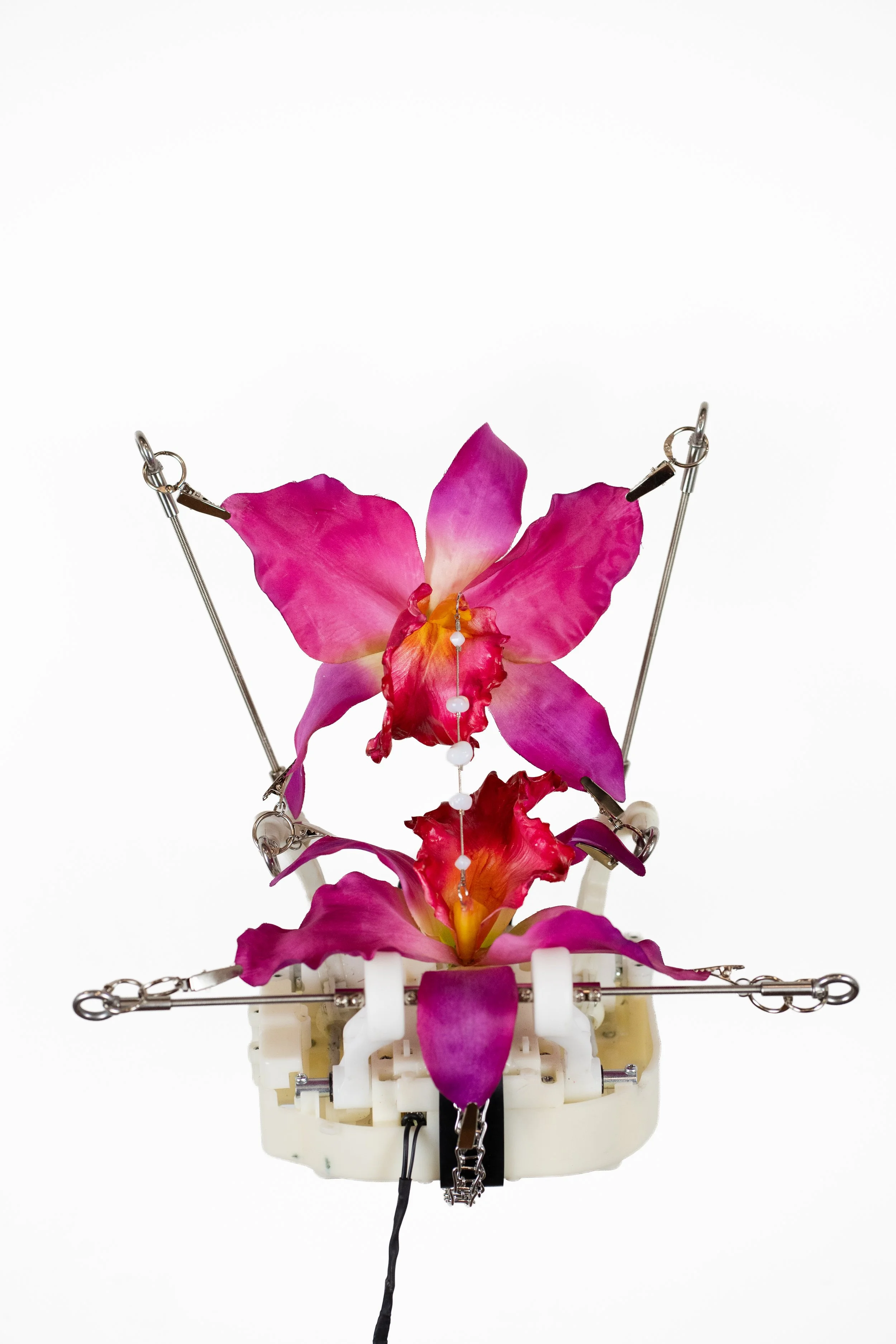 Rachel Youn,  Macerate,  2026, Modified neck massager, artificial orchids, chain clamp, rubber, hardware, snake chain, glass, 13 x 12½ x 10½ in.