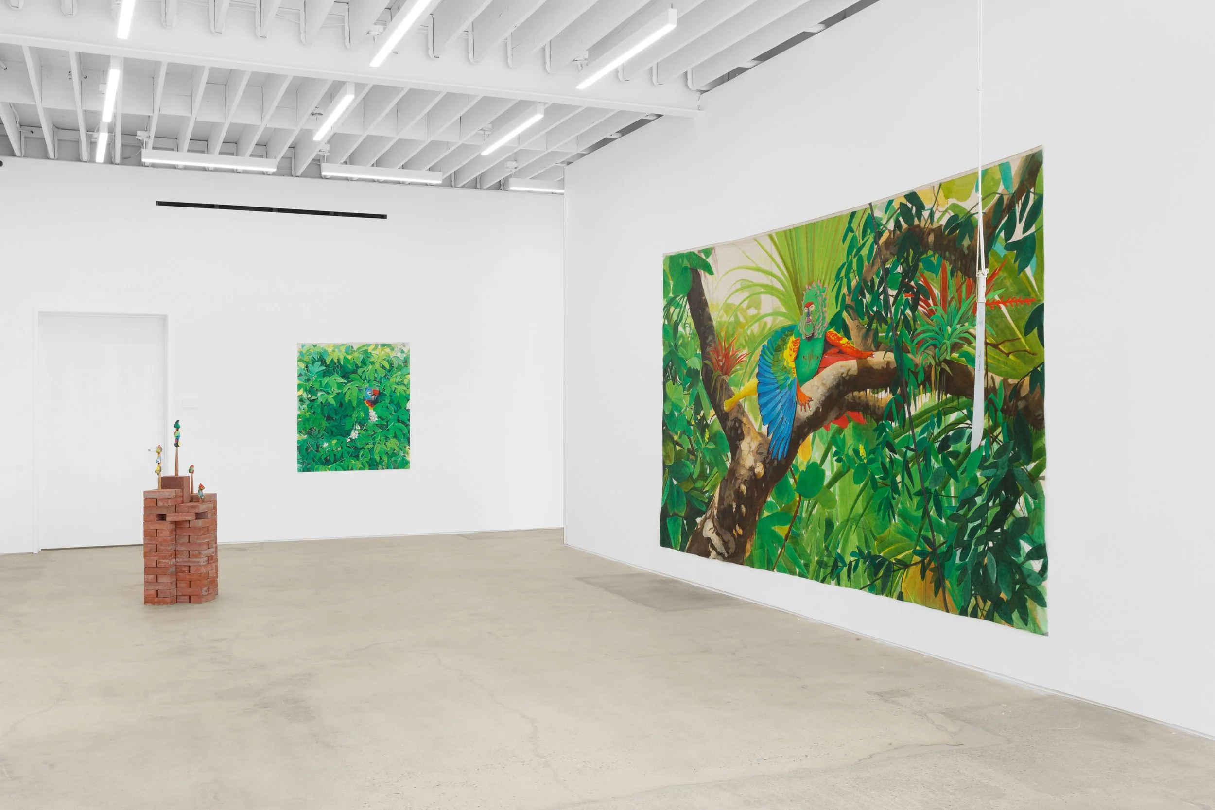Installation view,   Aves Ambigua,  2023