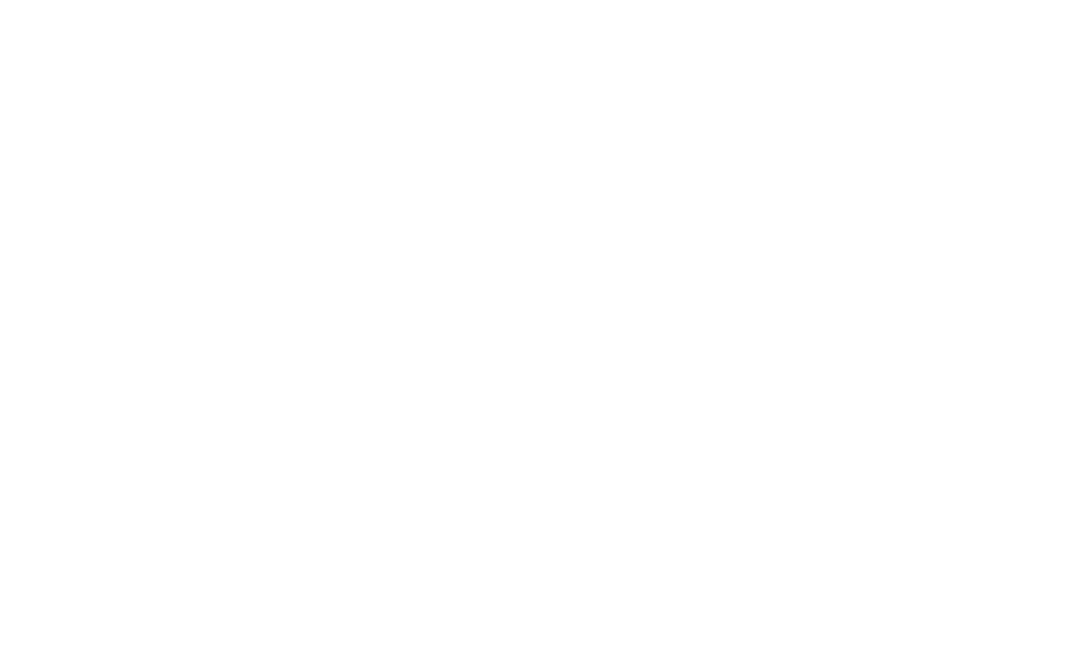 TCS Phoenix