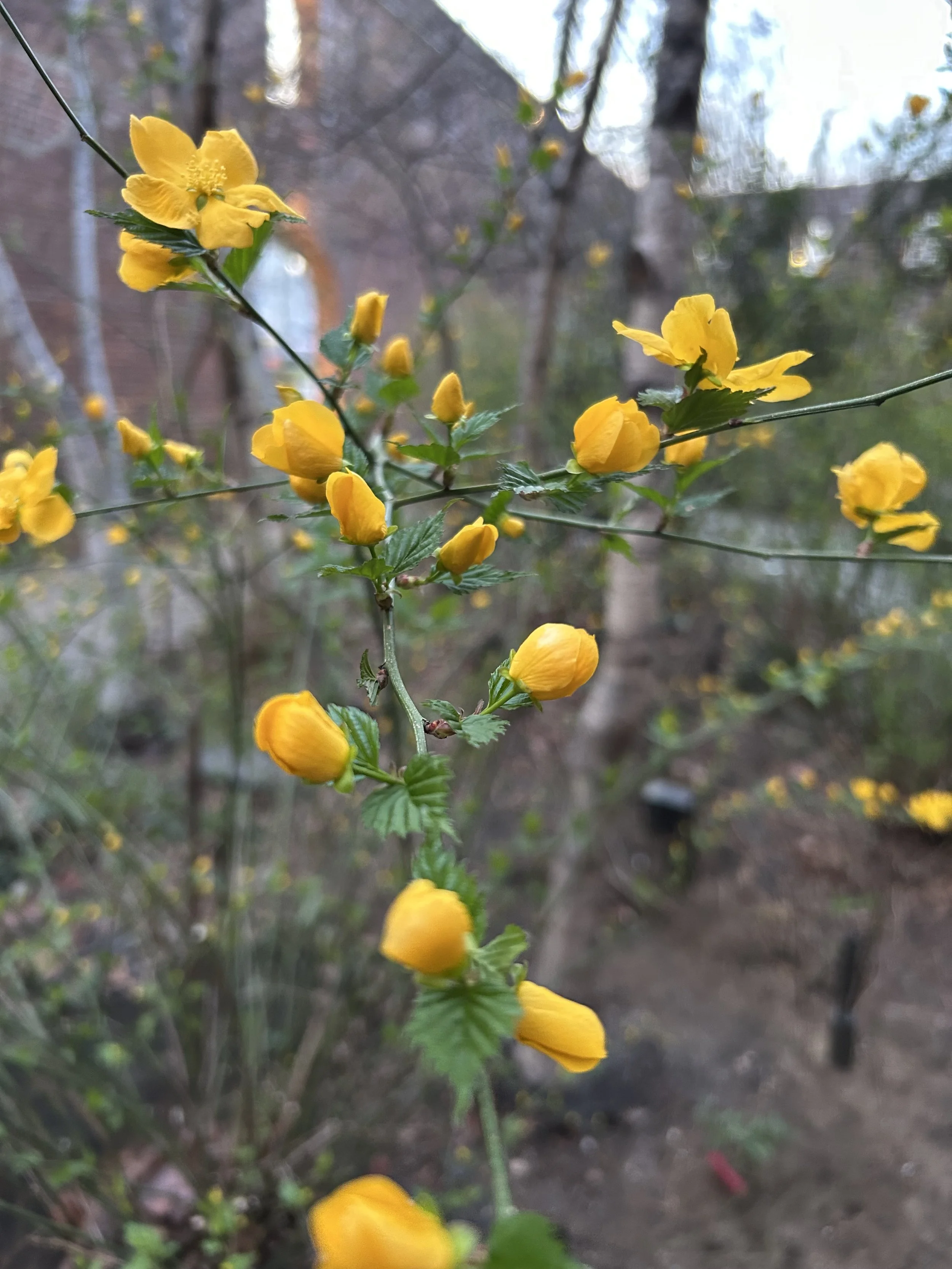 Fully Alive, Completely Relaxed