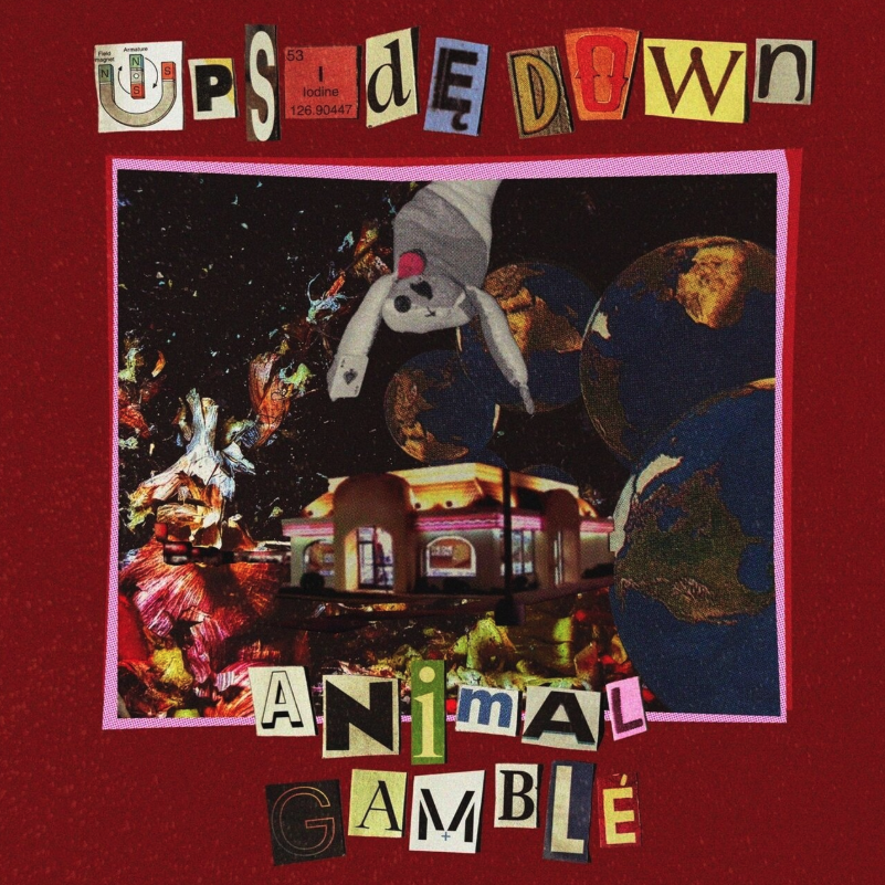 Animal Gamble - Upside Down (Single)
