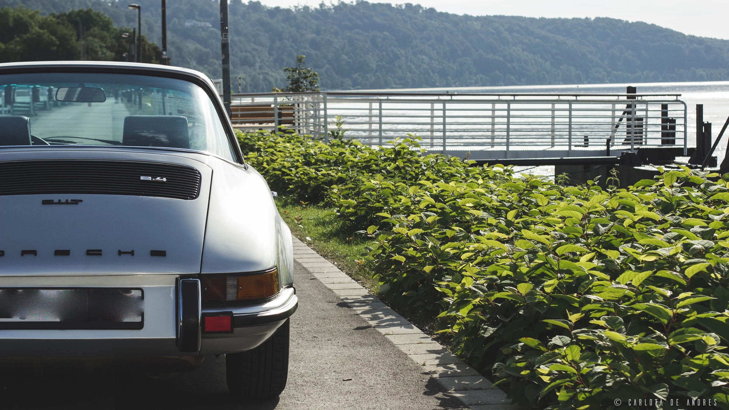 Collectorscarworld-PorscheTarga-charlieandres_2892.jpg