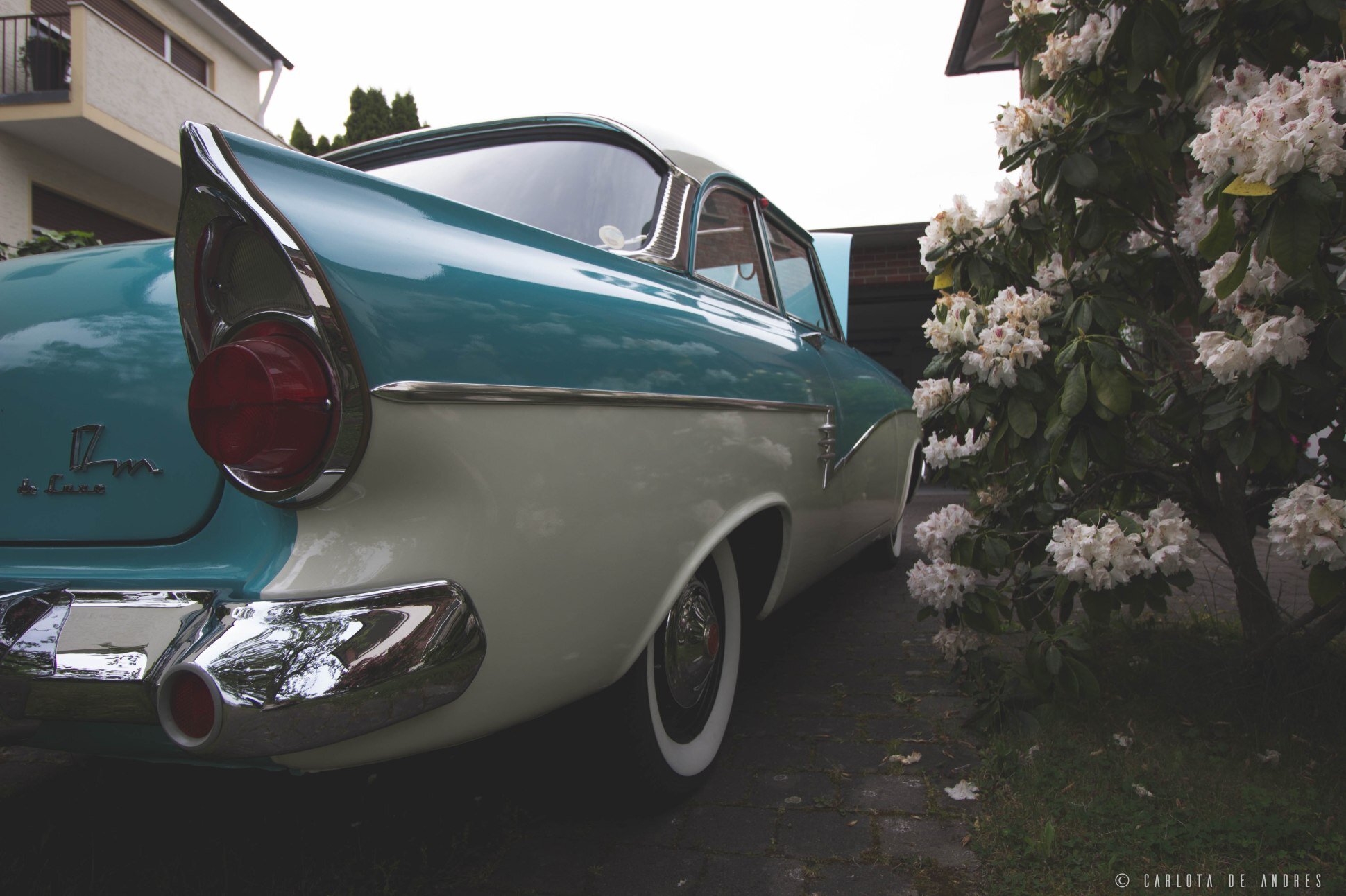 ford-taunus-17m-deluxe-charlieandres_0153-2.jpg